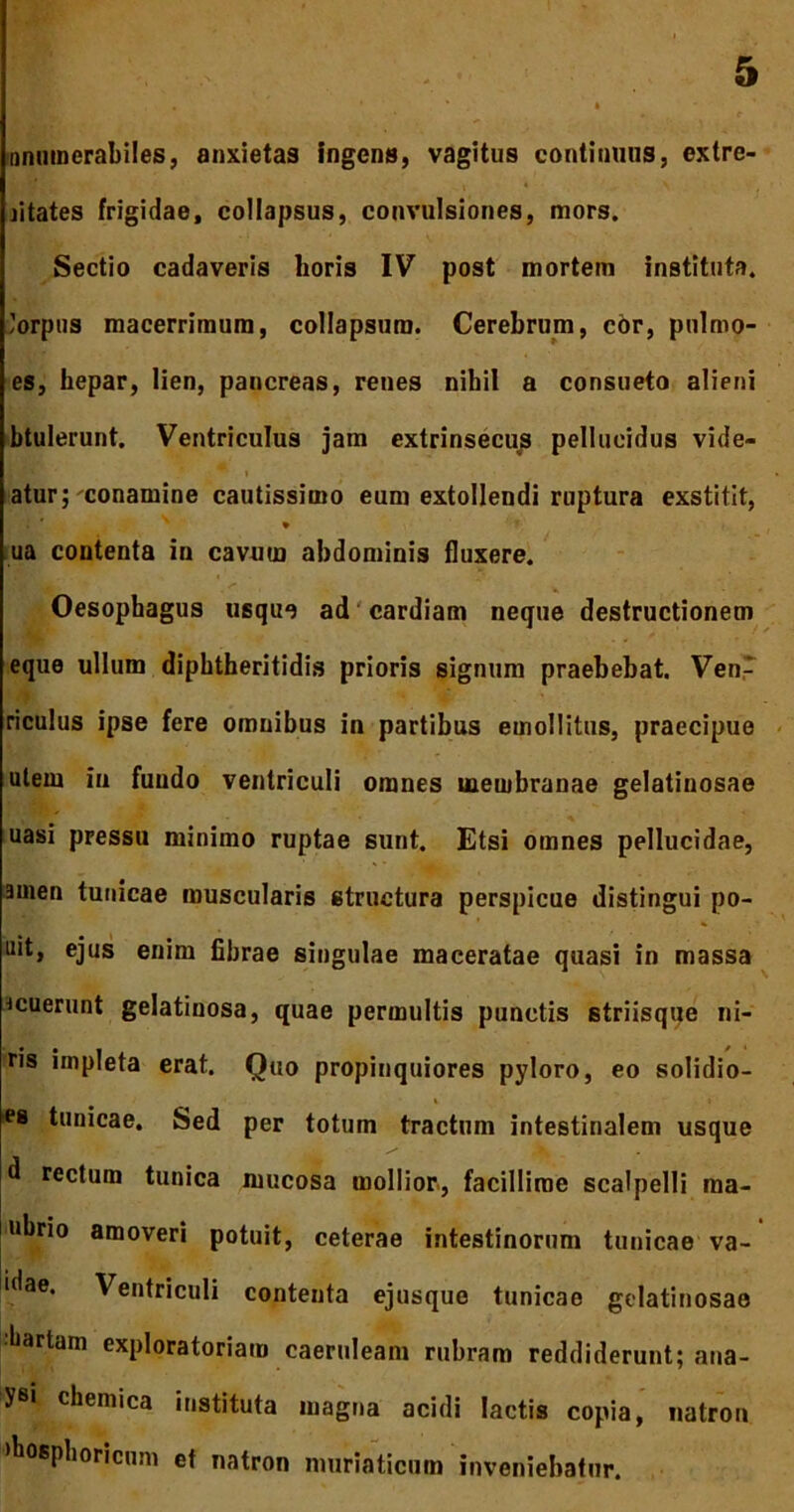 nnumerabiles, anxietaa ingens, vagitus continuus, extre- jitates frigidae, collapsus, convulsiones, mors. Sectio cadaveris horis IV post mortem instituta, lorpus macerrimum, collapsura. Cerebrum, cor, pulmo- es, hepar, lien, pancreas, renes nihil a consueto alieni btulerunt. Ventriculus jam extrinsecus pellucidus vide- atur; conamine cautissimo eum extollendi ruptura exstitit, ua contenta in cavum abdominis fluxere. Oesophagus usque ad cardiam neque destructionem eque ullum diphtheritidis prioris signum praebebat. VenP riculus ipse fere omnibus in partibus emollitus, praecipue utem in fundo ventriculi omnes membranae gelatinosae uasi pressu minimo ruptae sunt. Etsi omnes pellucidae, amen tunicae muscularis structura perspicue distingui po- uit, ejus enim fibrae singulae maceratae quasi in massa acuerunt gelatinosa, quae permultis punctis striisque ni- ris impleta erat. Quo propinquiores pyloro, eo solidio- i i tunicae. Sed per totum tractum intestinalem usque d rectum tunica mucosa mollior, facillime scalpelli raa- ubrio amoveri potuit, ceterae intestinorum tunicae va- idae. Ventriculi contenta ejusque tunicae gelatinosae hartam exploratoriam caeruleam rubram reddiderunt; ana- ysi, chemica instituta magna acidi lactis copia, tiatron >bosphoricum et natron muriaticum inveniebatur.