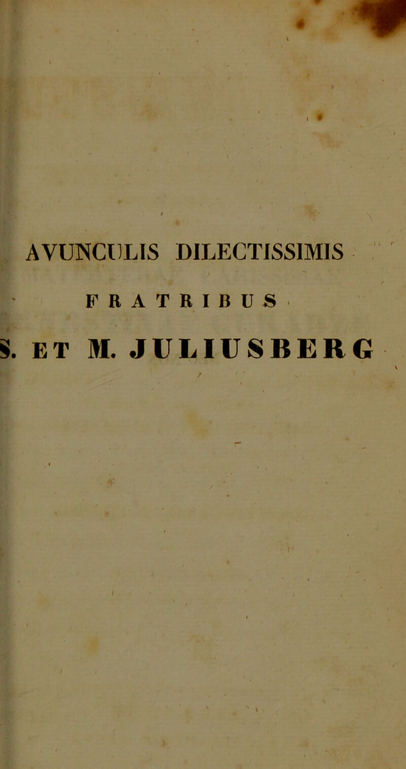 \ i AVUNCULIS DILECTISSIMIS FRATRIBUS S. ET M. JULIUSBERG 1 .4