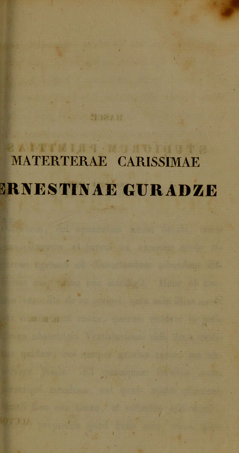 MATERTERAE CARISSIMAE 3RNESTINAE GURADZE