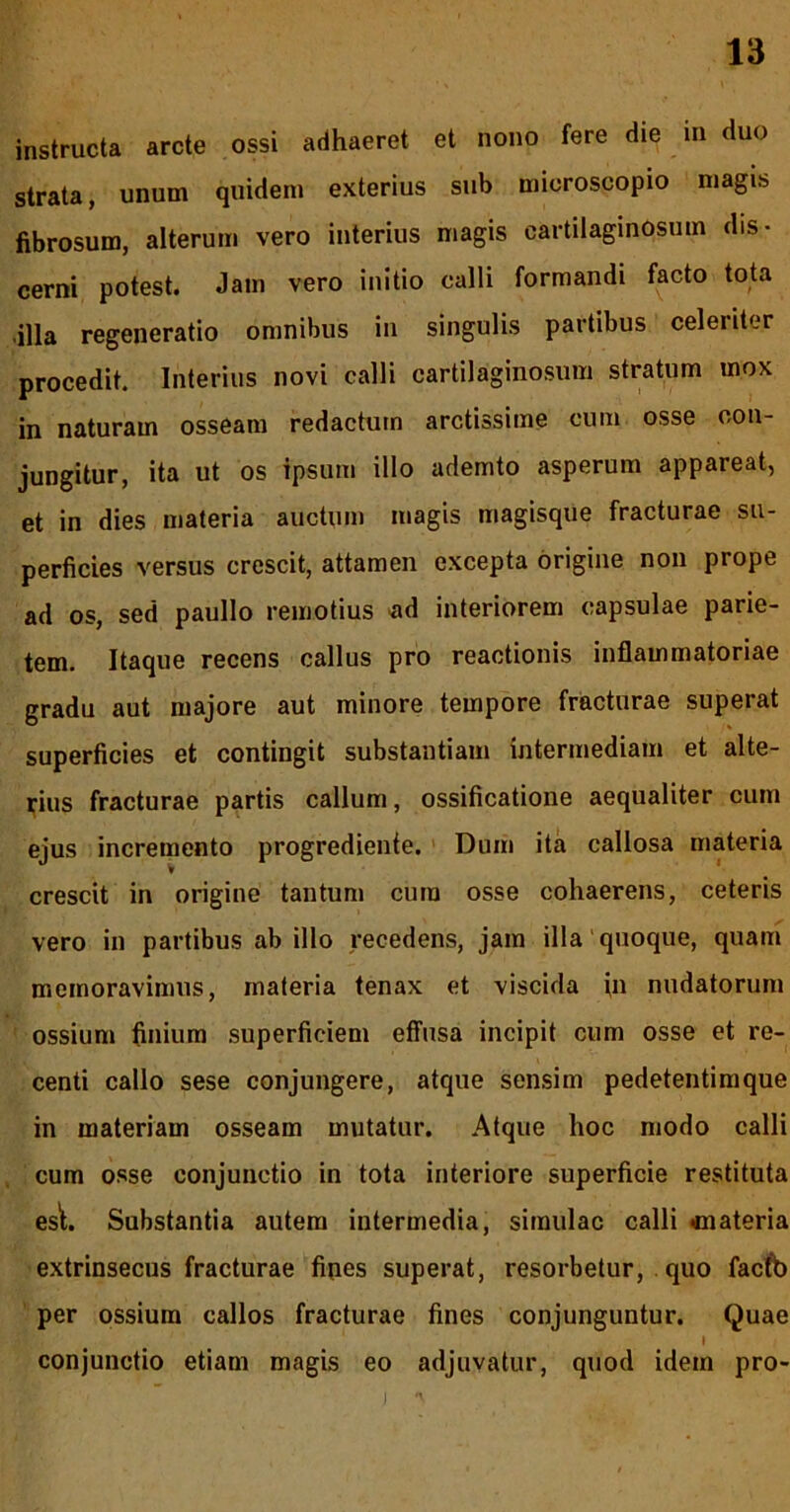 instructa arcte ossi adhaeret et nono fere die in duo strata, unum quidem exterius sub microscopio magis fibrosum, alterum vero interius magis cartilaginosum dis- cerni potest. Jam vero initio calli formandi facto tota •illa regeneratio omnibus in singulis partibus celeriter procedit. Interius novi calli cartilaginosum stratum mox in naturam osseam redactum arctissime cum osse con- jungitur, ita ut os ipsum illo ademto asperum appareat, et in dies materia auctum magis magisque fracturae su- perficies versus crescit, attamen excepta origine non prope ad os, sed paullo remotius ^id interiorem capsulae parie- tem. Itaque recens callus pro reactionis inflammatoriae gradu aut majore aut minore tempore fracturae superat superficies et contingit substantiam intermediam et alte- i;ius fracturae partis callum, ossificatione aequaliter cum ejus incremento progrediente. Dum ita callosa materia crescit in origine tantum cura osse cohaerens, ceteris vero in partibus ab illo recedens, jam illa‘quoque, quani memoravimus, materia tenax et viscida in nudatorum ossium finium superficiem effusa incipit cum osse et re- centi callo sese conjungere, atque sensim pedetentimque in materiam osseam mutatur. Atque hoc modo calli cum osse conjunctio in tota interiore superficie restituta esL Substantia autem intermedia, simulae calli «materia extrinsecus fracturae fines superat, resorbetur, quo facfb per ossium callos fracturae fines conjunguntur. Quae conjunctio etiam magis eo adjuvatur, quod idem pro-