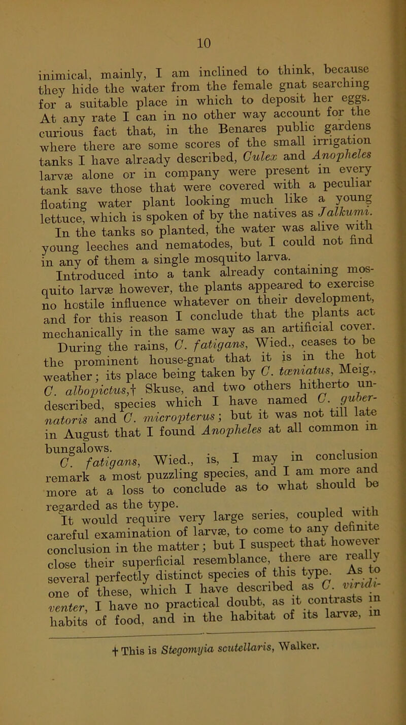 inimical, mainly, I am inclined to think, because they hide the water from the female gnat searching for a suitable place in which to deposit her eggs. At any rate I can in no other way account for the curious fact that, in the Benares public gardens where there are some scores of the small irrigation tanks I have already described, Gulex and Anopheles larvae alone or in company were present m every tank save those that were covered with a peculiar floating water plant looking much like a young lettuce, which is spoken of by the natives as Jalkurm. In the tanks so planted, the water was alive with young leeches and nematodes, but I could not find in any of them a single mosquito larva. Introduced into a tank already containing mos- quito larvae however, the plants appeared to exercise no hostile influence whatever on their development, and for this reason I conclude that the plants act mechanically in the same way as an artificial cover. During the rains, G. fatigans, Wied., ceases to be the prominent house-gnat that it is m the hot weather; its place being taken by G. tcematus, Meig., C. albopictus,\ Skuse, and two others hitherto un- described, species which I have named C'- 9U tr' natoris and G. micropterus; but it was not till late in August that I found Anopheles at all common m bungalows^, ^ j ^ in conclusion remark a most puzzling species, and I am more and more at a loss to conclude as to what should be regarded as the type. -,i It would require very large series, coupled with careful examination of larvae, to come to _any definite conclusion in the matter; but I suspect that however close their superficial resemblance, there are ieaily several perfectly distinct species of this type. As t one of these, which I have described as C. vindi- venter I have uo practical doubt, as it contrasts n hTbS of food, and in the habitat of its larval, m + This is Stegomyia scutellaris, Walker.