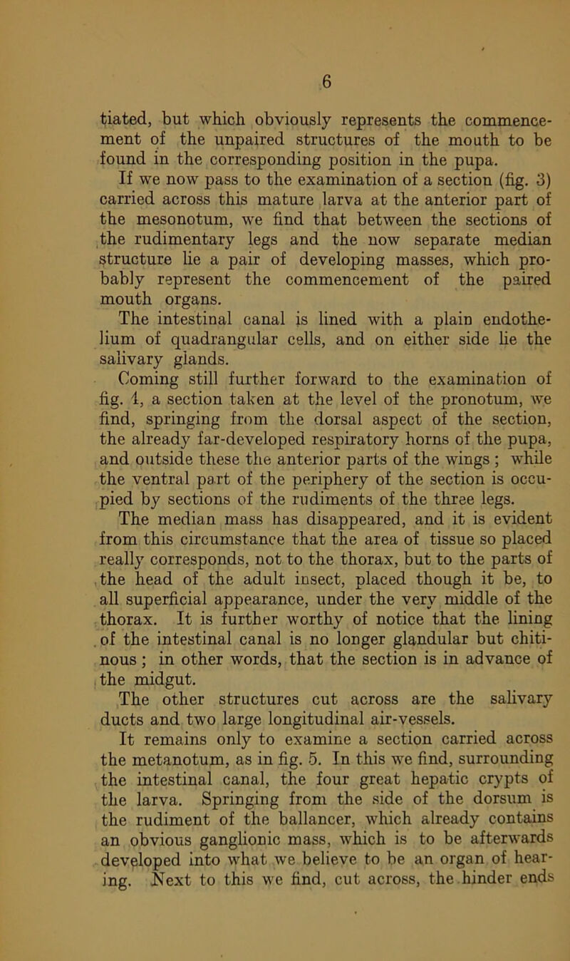 tiated, but which obviously represents the commence- ment of the unpaired structures of the mouth to be found in the corresponding position in the pupa. If we now pass to the examination of a section (fig. 3) carried across this mature larva at the anterior part of the mesonotum, we find that between the sections of the rudimentary legs and the now separate median structure lie a pair of developing masses, which pro- bably represent the commencement of the paired mouth organs. The intestinal canal is lined with a plain endothe- lium of quadrangular cells, and on either side he the salivary glands. Coming still further forward to the examination of fig. 1, a section taken at the level of the pronotum, we find, springing from the dorsal aspect of the section, the already far-developed respiratory horns of the pupa, and outside these the anterior parts of the wings ; while the ventral part of the periphery of the section is occu- pied by sections of the rudiments of the three legs. The median mass has disappeared, and it is evident from this circumstance that the area of tissue so placed really corresponds, not to the thorax, but to the parts of the head of the adult insect, placed though it be, to all superficial appearance, under the very middle of the thorax. It is further worthy of notice that the lining of the intestinal canal is no longer glandular but chiti- nous; in other words, that the section is in advance of the midgut. The other structures cut across are the salivary ducts and two large longitudinal air-vessels. It remains only to examine a section carried across the metanotum, as in fig. 5. In this we find, surrounding the intestinal canal, the four great hepatic crypts of the larva. Springing from the side of the dorsum is the rudiment of the ballancer, which already contains an obvious ganglionic mass, which is to be afterwards developed into what we believe to be an organ of hear- ing. Next to this we find, cut across, the hinder ends