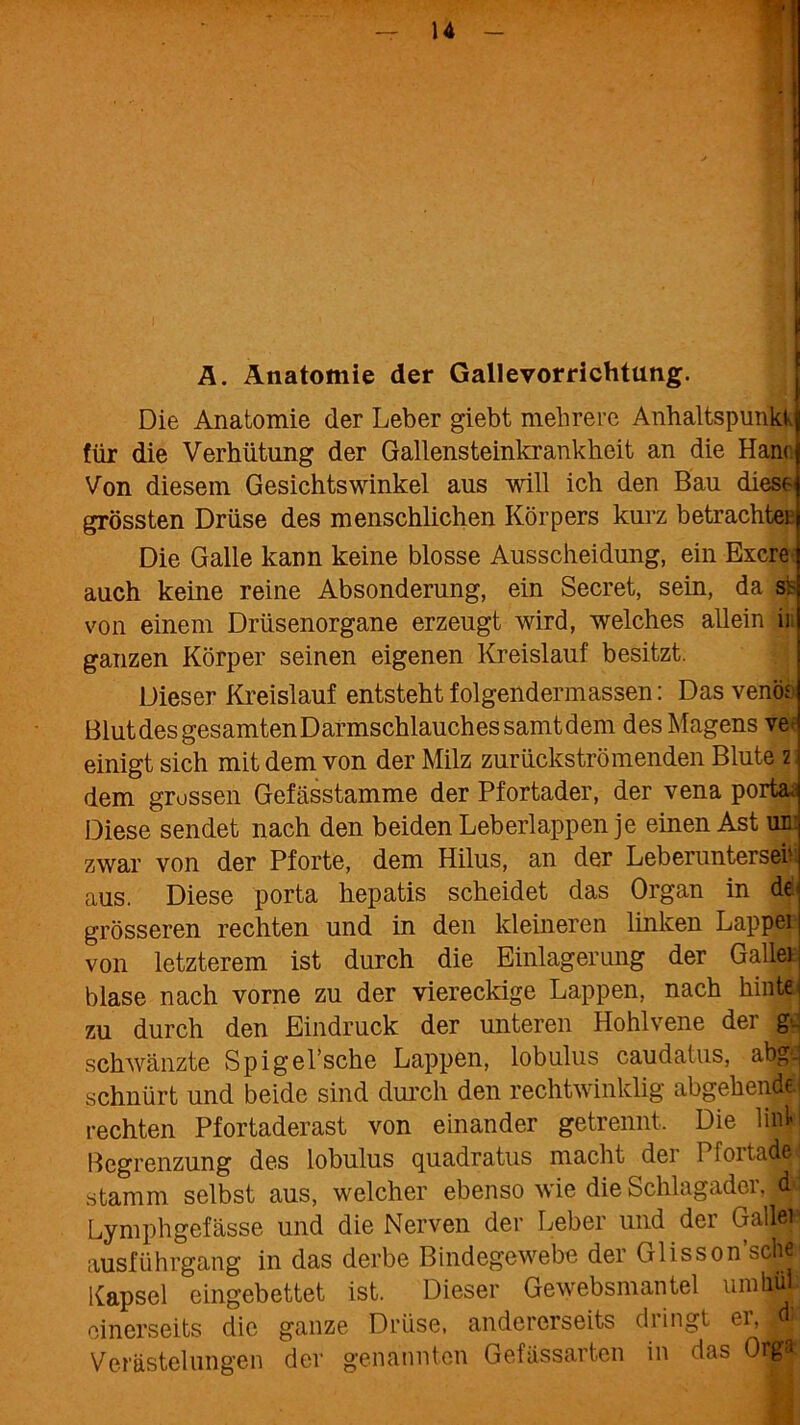 A. Anatomie der Gallevorrichtung. Die Anatomie der Leber giebt mehrere Anhaltspunkt für die Verhütung der Gallensteinkrankheit an die Ham Von diesem Gesichtswinkel aus will ich den Bau diese grössten Drüse des menschlichen Körpers kurz betrachtet Die Galle kann keine blosse Ausscheidung, ein Excre auch keine reine Absonderung, ein Secret, sein, da s> von einem Drüsenorgane erzeugt wird, welches allein it ganzen Körper seinen eigenen Kreislauf besitzt. Dieser Kreislauf entsteht folgendermassen: Das venös Blutdes gesamten Darmschlauch es samt dem des Magens ve- einigt sich mit dem von der Milz zurückströmenden Blute 2 dem grossen Gefässtamme der Pfortader, der vena porta. Diese sendet nach den beiden Leberlappen je einen Ast m: zwar von der Pforte, dem Hilus, an der Leberunterseit aus. Diese porta hepatis scheidet das Organ in de grösseren rechten und in den kleineren linken Lappei von letzterem ist durch die Einlagerung der Gallei blase nach vorne zu der viereckige Lappen, nach liintei zu durch den Eindruck der unteren Hohlvene det g' schwänzte Spigel’sche Lappen, lobulus caudatus, abg schnürt und beide sind durch den rechtwinklig abgehendf rechten Pfortaderast von einander getrennt. Die link Begrenzung des lobulus quadratus macht der Pfortadel stamm selbst aus, welcher ebenso wie die Schlagader, <p Lymphgefässe und die Nerven der Leber und der Gallei ausführgang in das derbe Bindegewebe der Glisson’sche Kapsel eingebettet ist. Dieser Gewebsmantel umliul einerseits die ganze Drüse, andererseits (hingt et, . Verästelungen der genannten Gefässarten in das Oifi