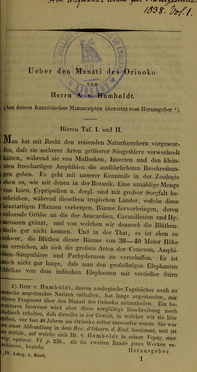 7 Ueber den Manati des Orinoko von Herrn A. v. Humboldt. (Aus dessen französischen Manuscripten übersetzt vom Herausgeber I). . lilan hat mit Recht den reisenden Naturforschern vorgewor- fen, dafs sie mehrere Arten gröfserer Säugethiere verwechselt i hätten, während sie von Mollusken, Insecten und den klein- sten froschartigen Amphibien die ausführlichsten Beschreibun- ! Sen geben- Es geht mit unserer Kenntnifs in der Zoologie i eben so, wie mit denen in der Botanik. Eine unzählige Menge 1 vou Ixien> Cypripedien u. dergl. sind mit grofser Sorgfalt be- schrieben, während dieselben tropischen Länder, welche diese lkrautartigen Pflanzen verbergen, Bäume hervorbringen, deren colossale Gröfse an die der Anacardien, Cavanillesien und Hy- :inenaeen gränzt, und von welchen wir dennoch die Blüthen- theile gar nicht kennen. Und in der That, es ist eben so schwer, die Bliithen dieser Bäume von 30 — 40 Meter Höhe zu erreichen, als sich die grofsen Arten der Cetaceen, Amphi- bien-Saugetluere und Pachydermen zu verschaffen. Es ist iBoch nicht gar lange, dafs man den grofsöhrigen Elephanten , nkas von dem indischen Elephanten mit vertiefter Stirn Hierzu Taf. I. und II. reS': equinox. VI p. 235., schienen, bezieht. AV. Juhrg. x Bändi jenes Werkes er- Herausgeb er.