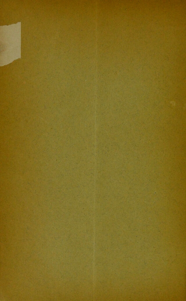 digitised image 2