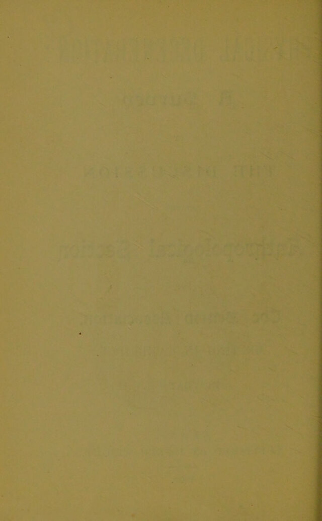 digitised image 2