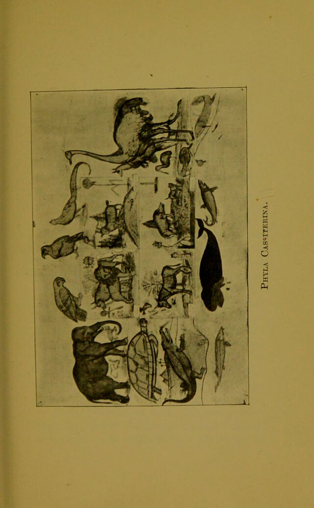 digitised image 3