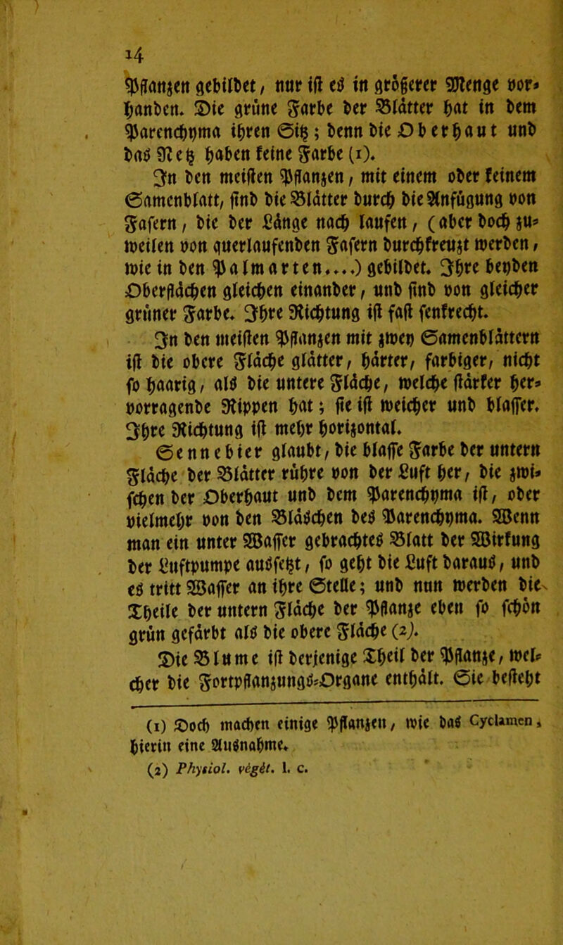 H ganzen gebildet, nur id e*J in größerer Stenge m» fjanben. Sie grüne Jarbe ber Blätter h«t in bem sjjarencbpma i^ren ©üj; beim bie Ob erbaut unb baüSfteij b^ben fetne ^arbc (i). 3n bett meiden ganzen, mit einem ober feinem ©amcnblatt, jtnb bie Blätter burch bie Anfügung pon Safern, bie ber Sänge nach laufen, (aber boeb zu* weilen non querlaufenben Wafern burdjfreuzt werben, wie in ben $ a lm a r t e n... 0 gebilbet. 3b« bepben Oberflächen gleichen einanber, unb flnb pon gleicher grüner Sarbe. 3b« Dichtung ifl fad fenfrecht. 3n ben meiden ^(Tätigen mit zwep ©amenblättern id bie obere Släche glatter, härter, farbiger, nicht fobaarig, altf bie untere Släche, welche därfer b«3 porragenbe Rippen bat ; de id weicher unb blaffer. 3b« Dichtung id mehr horizontal. © e n n e b i e r glaubt, bie blaffe Sarbe ber untern fläche ber Blätter rühre »on ber Suft her, bie zwi* fchen ber Oberbaut unb bem ^arenchpma id, ober pielmeljr Pon ben 23lä$chen be$ Barenchpma. 2öenn man ein unter Söaffer gebrachtes Sölatt ber SBirfung ber Luftpumpe auöfeijt, fo gebt bie Jßuft barauS, unb eö tritt Sßaffer an ib« ©teile; unb nun werben bie^ Xheile ber untern fläche ber Pflanze eben fo fchbn grün gefärbt als bie obere Stäche (2). Sie 53 lu me id berjenige Xbeil ber Pflanze, wcl* eher bie SortpftonjungkOrgane enthält, ©ie bedel;t (1) ©oef) mache« einige Pflanze», wie Da$ Cyclamen, hierin eine 2tu$nabme.
