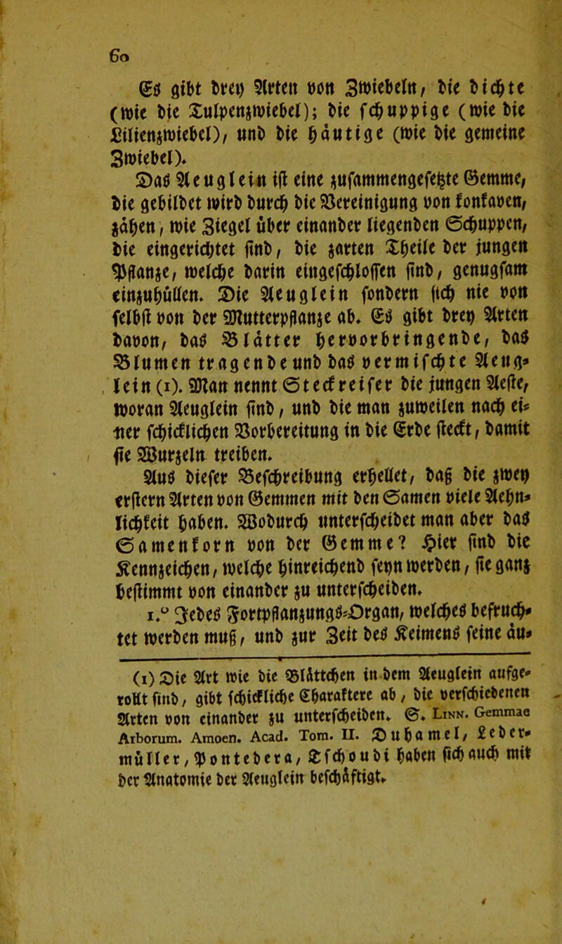 ©$ gibt brep Elften pon Swiebeln, bie bicbte (Wie t>ie Sulpenzwiebel); bie fdfjuppige (wie bic jßilienzwiebcl)/ unb bie häutige (Wie bie gemeine 3wiebel). £>a$ Sie ug lein ijl eine zufammengefeijte ©emme, bie gebitbet wirb burdj bie Bereinigung non fonfapen, sahen, wie 3iegel über einanber liegenben ©puppen/ bie eingerichtet fint>, bie jarten Zweite ber jungen «pganje, welche barin eingefchloffen ftnb / genugfam einzuhüöcn. Sie Sie ug lein fonbern ft# nie pon felbtf Pon ber Sölutterpflanje ab* ©$ gibt brep Sitten bapon/ batf Blatter perporbringenbe, bas Blumen tragenbeunb ba$ Permifd&te Sieug» lein (i). 9ttan nennt ©teef reifer bie jungen Stelle, woran Sleuglein jtnb, unb bie man zuweilen nach et* tter fchicflichctt Borbereitung in bie ©rbe (leeft, bamit fte Sßurzeln treiben. Siutf biefer Betreibung erhellet, bag bie jwep erflern Sitten pon ©emrnen mit ben ©amen viele Stebn» liebfeit haben. Söoburch unterfcheibet man aber ba$ ©amenforn pon ber ©emme? £iet finb bie Kennzeichen / welche hinreichenb fepn werben / fte ganz hejiimmt pon einanber zu unterfcheiben. i.ü 3ebetf ftortpflanzungü^Organ, welchem befruch- tet werben mug/ unb zur 3eit betf Keimend feine du» — 'i 1 « (i) Sie Sirt wie Pie qsiSttdjen in Pem Sieuglein aufee* toUtftttP, gibt fcpicflic&e (Shötaftere ab, Pie perfcbiePenen Sitten pon ctnanPer $u untetfcheiPen. Linn. Gemmae Arborum. Amoen. Acad. Tom. II. Subantel/ £epCt* müner,<pontePeta/£fcbouPi hoben fichfluch mit ber Sinatomie Pet Sieugtein befebäftigt» 4