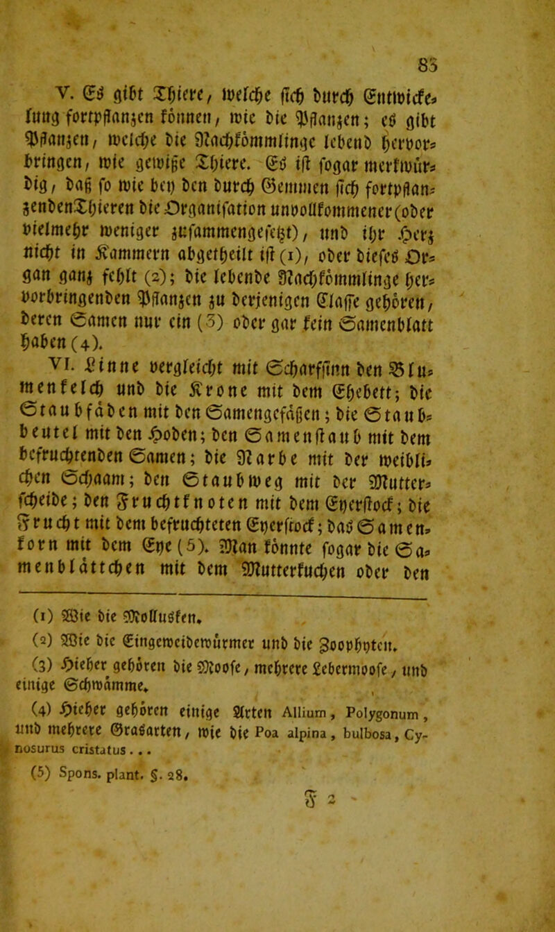 V. <£ß gibt Xljiere, metcbe ftcb burcb Gntwicfe» (ung fortpftonjcn fönnett / wie Die ^gangen; cd gibt $gan$ett, welche bie 9cacbf6mmlinge lebenb herber* bringen, »je genüge Sfjtere. <£d i(t fogar merfrour* big/ baß fo wie bet) ben burcb (Bemmen |7cb fortpflan- jenbenXbieren bieörganifation unooafommener(ober »ielmeljr weniger jufammengefefct), unb U;r Jperj nid)t in Kammern abgetbeilt if7(i), ober biefed Ov> gan gan* feOIt (2); bie lebenbe 9?acbfömmlinge her* »orbringenben ^jTanjen ju berjenigen glaffc geboren, beren eanten mir ein (3) ober gar Uin Samenblatt b^ben (4). vi. Jlinne oergleicbt mit Scbarfgnn ben 5Hu* menfelcb unb bie ßrone mit bem (Sbebett; bie Staub fab en mit ben Samengefäßen; bie Stau b* beutel mit ben J>oben; ben Samenftaub mit bem befruebrenben Samen; bie 9?arbe mit ber weibit» ct)cn Scbaam; ben Staub n> eg mit ber 9Kutter* febeibe; ben ^ r u cb t f n 01 e n mit bem (£tjerf7ocf; bie $r r u cb t mit bem befruchteten (£t)erfrocf; bad S a m en> forn mit bem <$pc (5). iDtan fönnte fogar bie Sa* menblattcben mit bem SDtutterfucben ober ben (1) Söie bie ©tolluöfen. (2) SQie bie Singcrocibettntrmcr unb bie goopboten. (3) lieber geboren bie €Üboofe / mebrere £ebermoofe, unb einige ©ebroamme* (4) lieber geboren einige Slrten AHium, Polygonum, unb mebrere ©radarten, toie bie Poa aipina, buibosa.Cy- nosurus cristatus ... (5) Spons. plant. §. 28.