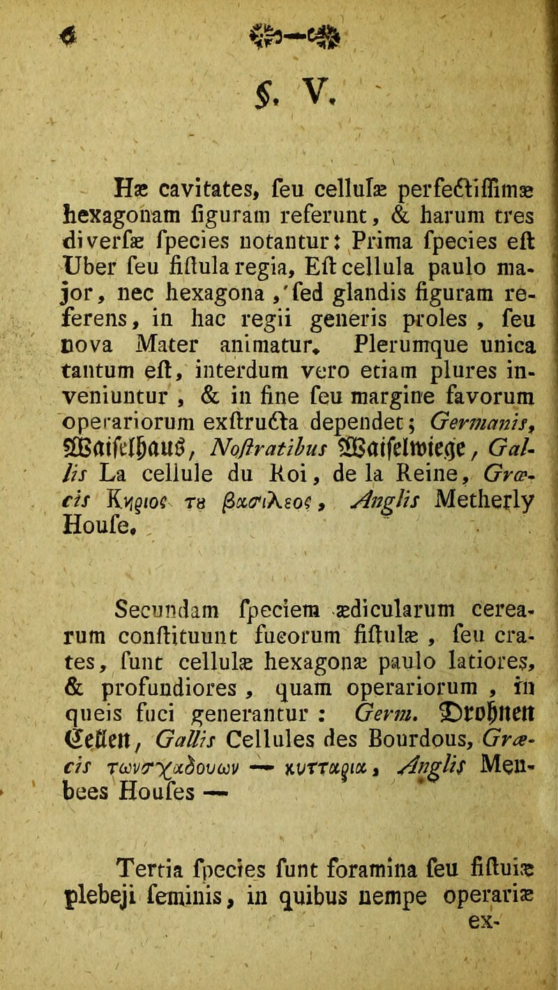 4 §. V. Hae cavitates, feu cellulae perfeftiffimae hexagoimm figuram referunt, & harum tres diverfae fpecies notantur: Prima fpecies eft Uber feu fillula regia, Eft cellula paulo ma- jor, nec hexagona ,'fed glandis figuram re- ferens, in hac regii generis proles , feu Dova Mater animatur. Plerumque unica tantum eft, interdum vero etiam plures in- veniuntur , & in fine feu margine favorum operariorum exftrudfa dependet; Germanis, , Noftratibus fSdtfclthieqc, Gal- lis La cellule du Koi, de la Reine, Gr^- cis T8 ^xtTiXso?, Anglis Methefly Houfe, Secundam fpeciera -aedicularum cerea- rum conftituunt fucorum fiftulae , feu cra- tes, funt cellulae hexagona^ paulo latiores, & profundiores , quam operariorum , ih queis fuci generantur : Gerni. Gallis Cellules des Bourdous, Grae- cis — kuttxpix , Anglis Men- bees Houfes —■ Tertia fpecies funt foramina feu fiftui.-e plebeji feminis, in quibus nempe operaris ex-