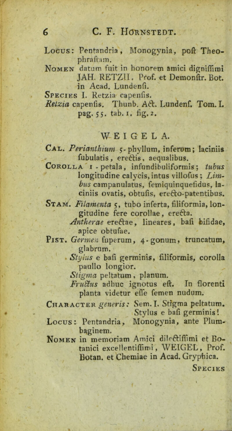 } Locus: Pentandria , Monogynia, poft Theo- phraftam. Nomen datum fuit in honorem amici digniflimi JAH. RETZII. Prof. et Demonftr. Bot. in Acad. Lundenfi. , Species I. Retzia capenfis. Retzia capenfis. Thunb. Ad:. Lundenf, Tom. I. pag. 55. tab. I. fig. 2. W E I G E L A. Cal. Perianthium 5-phylium, inferum; laciniis fubulatis, ereftis, aequalibus. Corolla ' I - petala, infundibuliformis; tubus longitudine calycis, intus villofus; Lim- , bus campanulatus, femiquinquefidus, la- ciniis ovatis, obtufis, erefto-patentibus. Stam!. Filame.nta Si tubo inferta, filiformia, lon- gitudine fere corollae, erefta. Antherae ereftae, lineares, bafi bifidae, apice obtufae. PiST. fuperum, 4-gonum, truncatum, glabrum. ' . Stylus e bafi germinis, filiformis, corolla paullo longior. Siigma peltatum, planum. • FruEtus adhuc ignotus eft. In florenti planta videtur efle femen nudum. Character generis: Sem. I. Stigma peltatum, . Stylus e bafi germinis! Locus: Pentandria, Monogynia, ante Plum- baginem. Nomen in memoriam Amici dileftifiimi et Bo- tanici excellentiflimi, WEIGEL, Prof. . ^ Botan. et Chemiae in Acad. Gryphica. Species