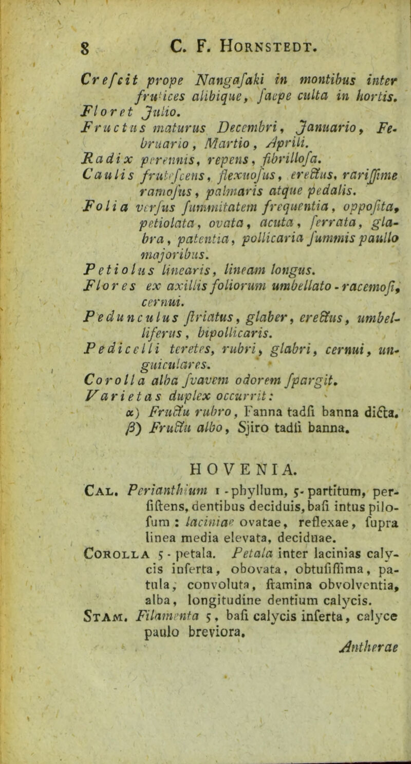 8 C. F. Hornstedt. Crefeit prope Nangafaki in montibus inter frutices alibique, facpe culta in hortis. Floret Julio. ' Fructus maturus Decembri ^ Januario ^ Fe- Urnario , Martio , /iprili. Rad ix perennis, repens, fibrillofa. Caulis frutefcens, flexiwfus, ereStus, rarijfime ramofus, palmaris atque pedalis. Folia verfus fiimmitatem frequentia, oppofita^ petiolata, ovata, acuta , ferrata, gla- bra, patentia, pollicaria funimispaullq majoribus. Petiolus linearis, lineam longus. Flores ex axillis foliorum umUellato -racemojif cernui. Pedunculus ftriatus, glaber, ereS£us, umbel- liferus, bipollicaris. Pedicelii teretes, rubri, glabri, cernui, un- guiculares. * * Corolla alba Jvavem odorem fpargit. Varietas duplex occurrit: cc) FruBfu rubro, Fanna tadfi banna didta,' FruBtu albo, Sjiro tadii banna. H O V E N I A. Cal, Pcrianthiuni r-phyllum, 5-partitum, per- fiftens, dentibus deciduis,bafi intus pilo- i laciniae Qvutze, reflexae, fupra linea media elevata, deciduae. Corolla 5- petala. Petala inter lacinias caly- cis inferta, obovata, obtufiflima, pa- ' tula; convoluta, flamina obvolventia, alba, longitudine dentium calycis. Stam. Filamenta 5, bafi calycis inferta, calyce paulo breviora. t ' * Antherae