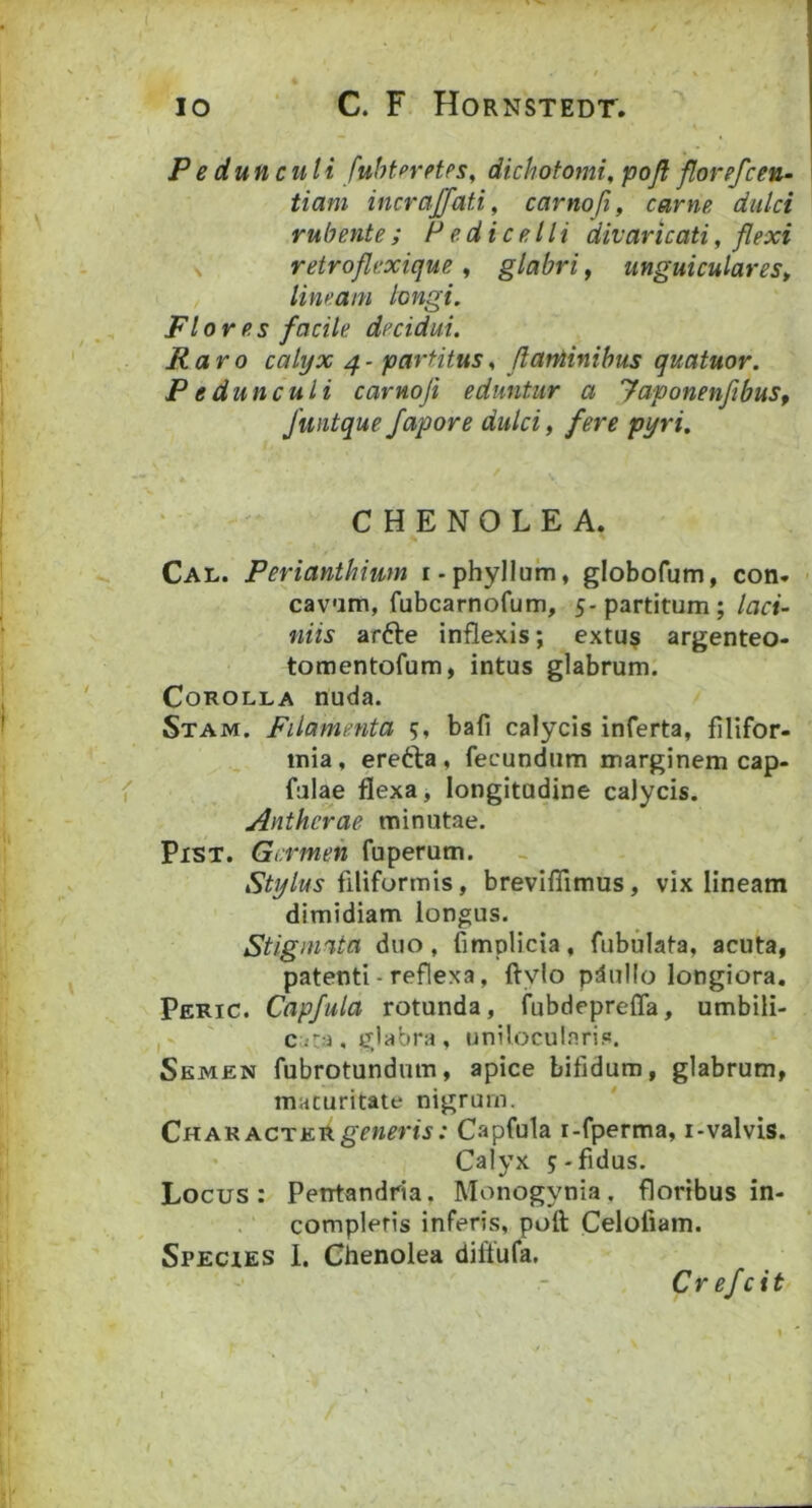 Pedunculi fuhtpretes^ dichofomi, poft florefceu- tiuni incraffati, carnoji, carne dulci rubente ; P e di ce Ili divaricati, flexi retroflexique , glabri, unguiculares^ lineam longi. Flores facile decidui. Raro calyx 4- partitus^ flaniinihus quatuor. P e dun cui i carnoji eduntur a JaponenfibuSf funtque Japore dulci, fere pyri. ‘ ' CHENOLEA. Cal. Perianthium i-phyllum, globofum, con- - cavam, fubcarnofum, s-partitum; laci- niis arfte inflexis; extu? argenteo- tomentofum, intus glabrum. Corolla nuda. Stam. Filamenta 5, bafi calycis inferta, filifor- mia, erefta , fecundum marginem cap- fulae flexa, longitudine calycis. Anthcrae minutae. PiST. Germen fuperum. filiformis, breviflimus, vix lineam dimidiam longus. Stigmata duo, fimplicia, fubulata, acuta, patenti - reflexa, flylo pdullo longiora. pERic. Capfula rotunda, fubdeprefla, umbili- ,' ' c;4::3 , giabra , uniloculnris. Semen fubrotundum, apice bifidum, glabrum, maturitate nigrum. CharacterCapfula i-fperma, i-valvis. Calyx 5-fidus. Locus: Pentandria, Monogynia. floribus in- completis inferis, poft Celofiam. Species I. Ghenolea diftufa. Crefeit