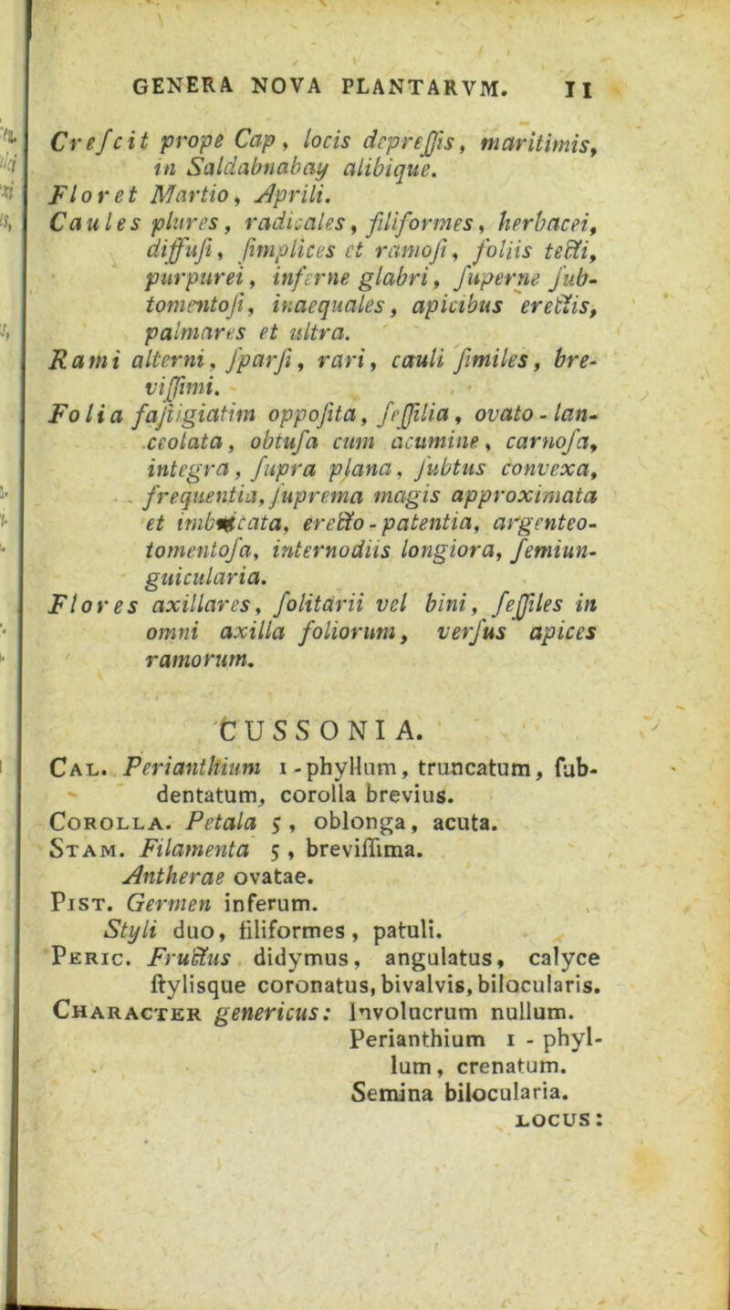 Crefcit prope Cap, locis dcprejjis, maritimis^ tn Saldabnahay alibique. Floret Martio i Aprili, Caules plures, radicales, filiformes, herbacei^ diffufi, fimplices et raniojf foliis tebUi, purpurei, inferne glabri, fuperne Jub- tonmitofi, inaequales, apicibus eret^is, palmares et ultra. Rami alterni, fparfi, rari, cauli fimiles, hre^ vi (fimi. . • Fo lia fafiigiatim oppofita, feffilia, ovato-lan~ ceolata, obtufa cum acumine, carnofa, integra, fupra plana, Jubtus convexa, . . frequentia, fupre.ma magis approximata 'et inib^tata, eretYo-patentia, argenteo- iomentofa, internodiis longiora, femiun- guicularia. Flores axillares, folitdrii vel bini, feffiles in omni axilla foliorum, verfus apices ‘ ramorum, t: U S S O NI A. CM^^-Perianthiuni i-phyHnm, triincatum, fab- '  dentatum^ corolla brevius. Corolla. Petala s, oblonga, acuta. Stam. Filamenta 5 , breviffima. Antherae ovatae. PiST. Germen inferum. Styli duo, filiformes, patuli. Peric. FruSYus didymus, angulatus, calyce ftylisque coronatus, bivalvis, bilocularis. Character genericus: Involucrum nullum. Perianthium i - phyl- lum, crenatum. Semina bilocularia. ^ locus: