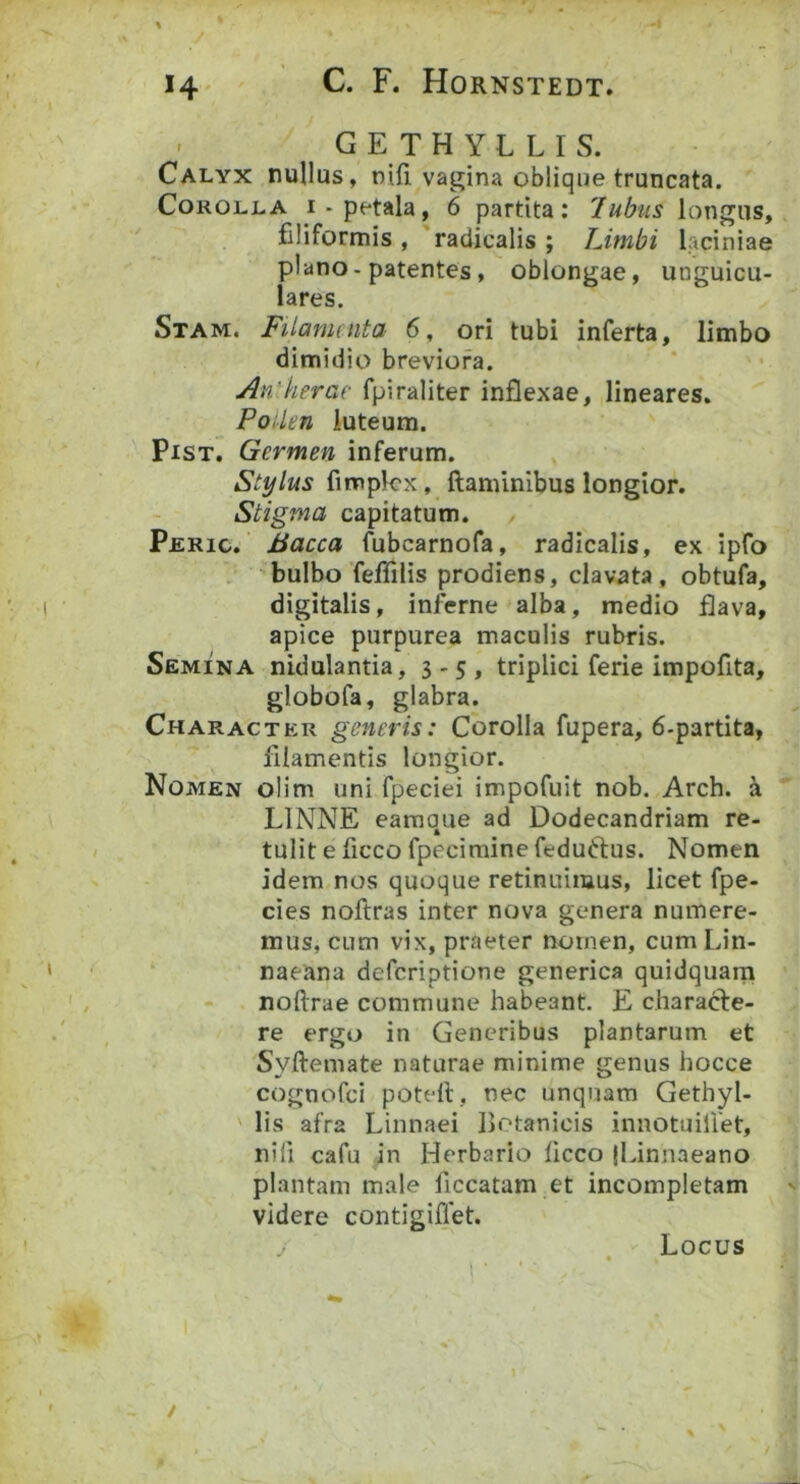 - GETHYLLIS. Calyx nullus, nili vagina oblique truncata. Corolla i-petala, 6 partita: 'lubus longus, filiformis , 'raclicalis ; Limbi laciniae plano-patentes, oblongae, uoguicu- lares. Stam. Filamenta 6, ori tubi inferta, limbo dimidio breviora. An'herae fpiraliter inflexae, lineares. Pollen luteum. PiST. Germen inferum. , Stylus fimplcx, ftaminlbus longior. Stigma capitatum. Peric. ' Bacca fubcarnofa, radicalis, ex ipfo 'bulbo feffilis prodiens, clavata, obtufa, digitalis, inferne alba, medio flava, apice purpurea maculis rubris. Semina nidulanda, 3 - 5 , triplici ferie impofita, globofa, glabra. Character generis: Corolla fupera, 6-partita, filamentis longior. Nomen olim uni fpeciei impofuit nob. Arch. a LINNE eamque ad Dodecandriam re- tulit e ficco fpecimine feduftus. Nomen idem nos quoque retinuimus, licet fpe- cies noftras inter nova genera numere- mus, cum vix, praeter nomen, cum I.in- ‘ naeana defcriptione generica quidquarn noftrae commune habeant. E characte- re ergo in Generibus plantarum et Syftemate naturae minime genus hocce cognofci potelt, nec unquam Gethyl- ' lis afra Linnaei Botanicis innotuilfet, nili cafu in Herbario ficco jLinnaeano plantam male ficcatam et incompletam videre contigiflet. Locus