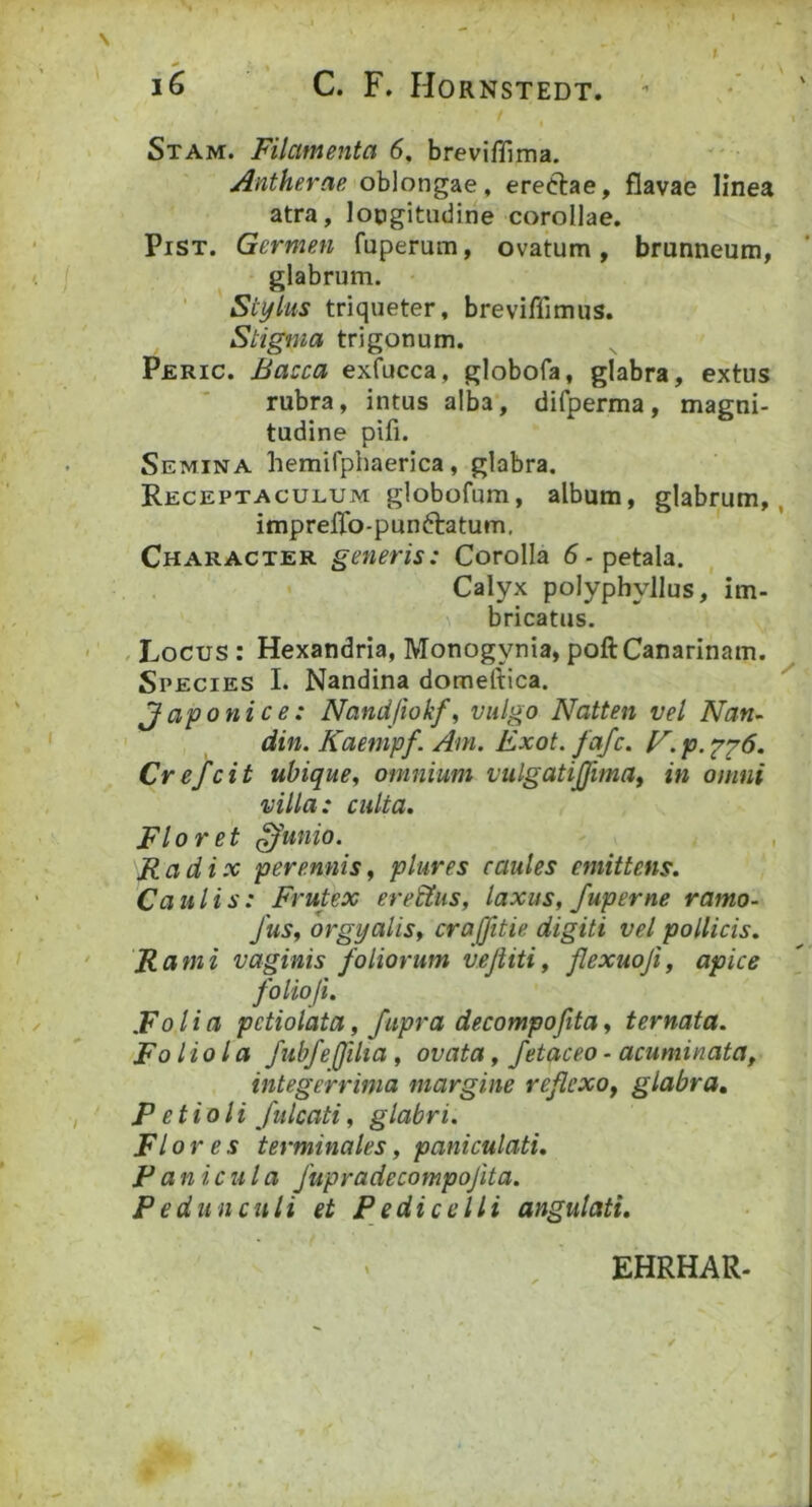 Stam. Filamenta 6, breviffima. Antherae oblongae, eretlae, flavae linea atra, longitudine corollae, PiST. Germen fuperum, ovatum, brunneum, glabrum. ’ Stylus triqueter, breviffimus. Stigma trigonum. Peric. Bacca exfucca, globofa, glabra, extus rubra, intus alba, difperma, magni- tudine pifi. Semina hemifphaerica, glabra. Receptaculum globofum, album, glabrum,, impreflb-punftatum, Character generis: Corolla 6 - petala. Calyx polyphyilus, im- ^ bricatus. , Locus : Hexandria, Monogynia, poftCanarinam. Species I. Nandina domeftica. Japonice: Nandjiokf, vulgo Natten vel Nan~ din. Kaempf. Am. Exot. fafc. V. p. '^‘^6, Crefcit ubique, omnium vulgatijjima, in omni villa: culta. Floret ^unio. , Radix perennis, plures caules emittens. Ca u l i s: Frutex eremus, laxus, fuperne ramo- fus, orgyalis, craffitie digiti vel pollicis. Rami vaginis foliorum vejiiti, flexuofi, apice folioji. Folia pctiolata, fupra decompofita, ternata. Foliola fubfefilia, ovata, fetaceo - acuminata, integerrima margine reflexo, glabra, P e tioli fulcati, glabri. Flores terminales, paniculati. P anicula fupradecompofita. Pedunculi et Pedicclli angulati. EHRHAR.