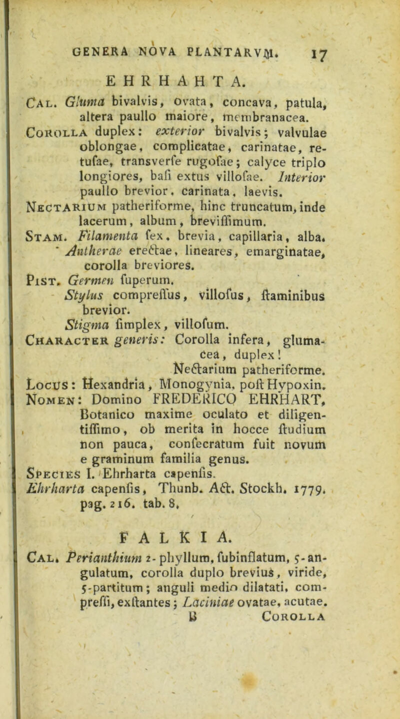 E H R H A H T A. Cal. Gluma bivalvis, ovata, concava, patula, altera paullo inaiore, membranacea. Corolla duplex: exterior bivalvis; valvulae oblongae, complicatae, carinatae, re- tufae, transverfe rugofae; calyce triplo longiores, bafi extus villofae. Interior paullo brevior, carinata, laevis. NectARium patheriforme, hinc truncatum,inde lacerum , album , breviffimum. Stam. Filamenta fex, brevia, capillaria, alba. * Antherae ereftae, lineares, emarginatae, corolla breviores. PiST, Germen fuperum. - Stylus comprellus, villofus, flaminibus brevior. Stigma fimplex, villofum. Character Corolla infera, gluma- dea, duplex! Neftarium patheriforme. Locus: Hexandria, Monogynia, poflHvpoxin. Nomen: Domino FREDERICO EHRHART, Botanico maxime oculato et diligen- tiflimo, ob merita in hocce fludium non pauca, confecratum fuit novum e graminum familia genus. Species I. 'Ehrharta capenfis. Ehrharta capenfis, Thunb. Aft. Stockh, 1779. . pag. 216. tab. 8, / F A L K I A. Cal* Perianthium 2- phyllum, fubinflatum, 5-an- gulatum, corolla duplo brevius, viride, 5'partitum; anguli medio dilatati, com- preffi, exftantes; Laciniae ovatae, acutae. U Corolla I