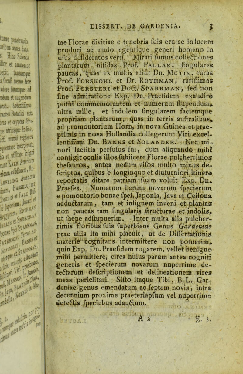 tae Florae divitiae e tenebris fuls erutae in lucem produci ac nudo egentique-generi hurnauo in ufus deflderatos verti. .Mirati llimus coUt^liones plantarum ./nitidas . ProiV Pallas , lingulares paucaS, quas eX multis niifit Dn. Mutis, raras Prof. Forskohl et Dr. Rothman, rariliimas Prof. Forsteri et Dodl:. SbARRM an , fed iion fine admiratione Exp. Dn. Praefidem exalidird potm commemorantem et numerum ftupendum> ultra mille, et indolem fingularem faciemque propriam plantarum, quas in terris auftralibus, ad promontorium Horn, in nova Guinea et prae- primis in nova Hollandia collegerunt ViriieXoel- ientiffimi Dn. Banks et Solander. Nec mi- nori laetitia perfufus fui, dum aliquando mihi contigit oculis illos fubiicere Florae pulcherrimos thefauros, antea nedum vifos multo minus de- fcriptoa, quibus e longinquo et diuturniori itinere reportatis ditare patriam fuam voluit Exp. Dn» Praefes.. Numerum harum novarum fpcicierum e pomontorio bonae fpei, Japonia, Java et Ceilona adduftarum, tam et infignem inveni et plantas non paucas tam fingularis ftrufturae et indolis, ut faepe adftupuerim. Inter multa alia pulcher- rimis floribus fuis fupetbiens Genus Gardeniae prae aliis ita mihi placuit, ut de DilTertatiohis materie cognitans intermittere non potuerim, quin Exp. Dn. Praefidem rogarem, vellet benigne* mihi permittere, circa huius parum antea cogniti generis et fpecierum novarum nuperrime de- tedtarum defcriptionem et delineationem vires meas periclitari. Sifto itaque Tibi, B.L» Gar- deniae genus emendatum ac feptem novis, intra decennium proxime praeterlapfum vel nuperrime dete^s fpeciebus adau6;um.