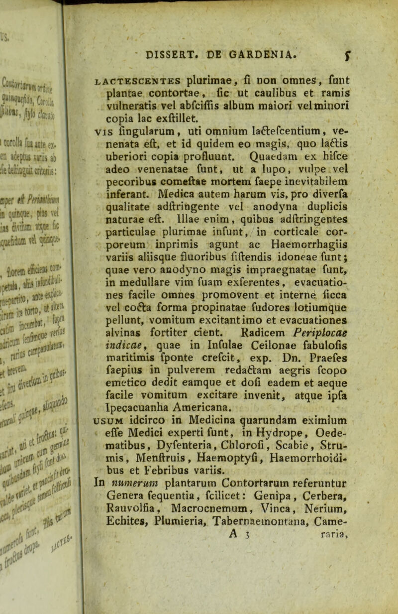 jkw^do, C5r:;i» jljio (IgVjS;, 1 coroll» fiu iate ex- »d«ptia Hriis ab B?er ti Pfrmilim iB qtiiw^Qe, pios vel ;las 3\vi(® 5’1 [I'”*' •. . '•flfi vll ''■. ,,£*■ ■i',,a# iJ‘ lactescentes plurimae, fi non omnes, funt plantae contortae, fic ut caulibus et ramis vulneratis vel abfciflis album maiori vel minori copia lac exftillet. VIS fingularum, uti omnium laftefcentium, ve- nenata eft, et id quidem eo magis, quo laftis uberiori copia profluunt. Quaedam ex hifce adeo venenatae funt, ut a lupo, vulpe vel pecoribus comeftae mortem faepe inevitabilem inferant. Medica autem harum vis, pro diverfa qualitate adftringente vel anodyna duplicis naturae eft. Illae enim, quibus adftringentes particulae plurimae infunt, in corticale cor- poreum inprimis agunt ac Haemorrhagiis variis aliisque fluoribus fiftendis idoneae funt; quae vero anodyno magis impraegnatae funt, in medullare vim fuam exferentes, evacuatio- nes facile omnes promovent et interne ficca vel cofta forma propinatae fudores lotiumque pellunt, vomitum excitant imo et evacuationes alvinas fortiter dent. Radicem Periptocae indicae^ quae in Infulae Ceilonae fabulofis maritimis fponte crefcit, exp. Dn. Praefes faepius in pulverem redaftam aegris fcopo emetico dedit eamque et dofi eadem et aeque facile vomitum excitare invenit, atque ipfa Ipecacuanha Americana. USUM idcirco in Medicina quarundam eximium i effe Medici experti funt, in Hydrope, Oede- matibus, Dyfenteria, Chlorofi, Scabie, Stru- mis, Menftruis, Haemoptyfi, Haemorrhoidi- bus et Febribus variis. In numerum plantarum Contortarum referuntur Genera fequentia, fcilicet; Genipa, Cerbera, Rauvolfia, Macrocnemum, Vinea, Nerium, Echites, Plumieria, Tabernaemontana, Came- A ? raria,