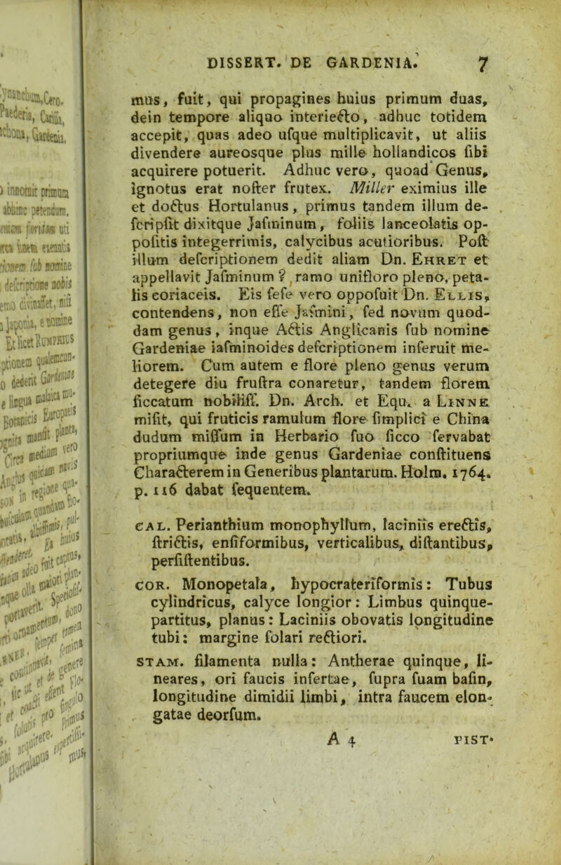 mtts, fuit, qui propagines huius primum duas, dein tempore aliquo interiero, adhuc totidem accepit, quas adeo ufque multiplicavit, ut aliis divendere aureosque plus mille hollandicos fibi acquirere potuerit. Adhuc vero, quoad Genus, ignotus erat nofter frutex. Miller eximius ille et do6fus Hortulanus, primus tandem illum de- fcripfit dixitque Jafminum, foiiis lanceolatis op- pofitis integerrimis, calycibus acutioribus. Polb illum defcriptionem dedit aliam Dn. Ehret et appellavit Jafminum ?jrarao unifloro pleno, peta- lis coriaceis. Eis fefe vero oppofuit Dn. Ellis, contendens , non effe Jafmini, fed novum quod- dam genus, inque A6tis Anglicanis fub nomine Gardeniae iafminoides defcriptionem inferuit me- liorem. Cum autem e flore pleno genus verum detegere diu fruftra conaretur, tandem florem ficcatum nobilifi'. Dn. Arch. et Equ. a Linne mifit, qui fruticis ramulum flore fimplici e China dudum miffum in Herbario fuo ficco fervabat propriumque inde genus Gardeniae conftituens Charafterem in Generibus plantarum. Holna. 1764, p. n6 dabat fequentem. CAL. Perianthium monophyllum, laciniis ereftis, ftriftis, enfiformibus, verticalibus, diftantibus, perfiftentibus. COR. Monopetala, hypocrateriformis: Tubus cylindricus, calyce longior; Limbus quinque- partitus, planus: Laciniis obovatis longitudine tubi: margine folari reftiori. STAM. filamenta nulla: Antherae quinque, li- neares, ori faucis infertae, fupra fuam bafin, longitudine dimidii limbi, intra faucem elon- gatae deorfum. A 4 PIST*