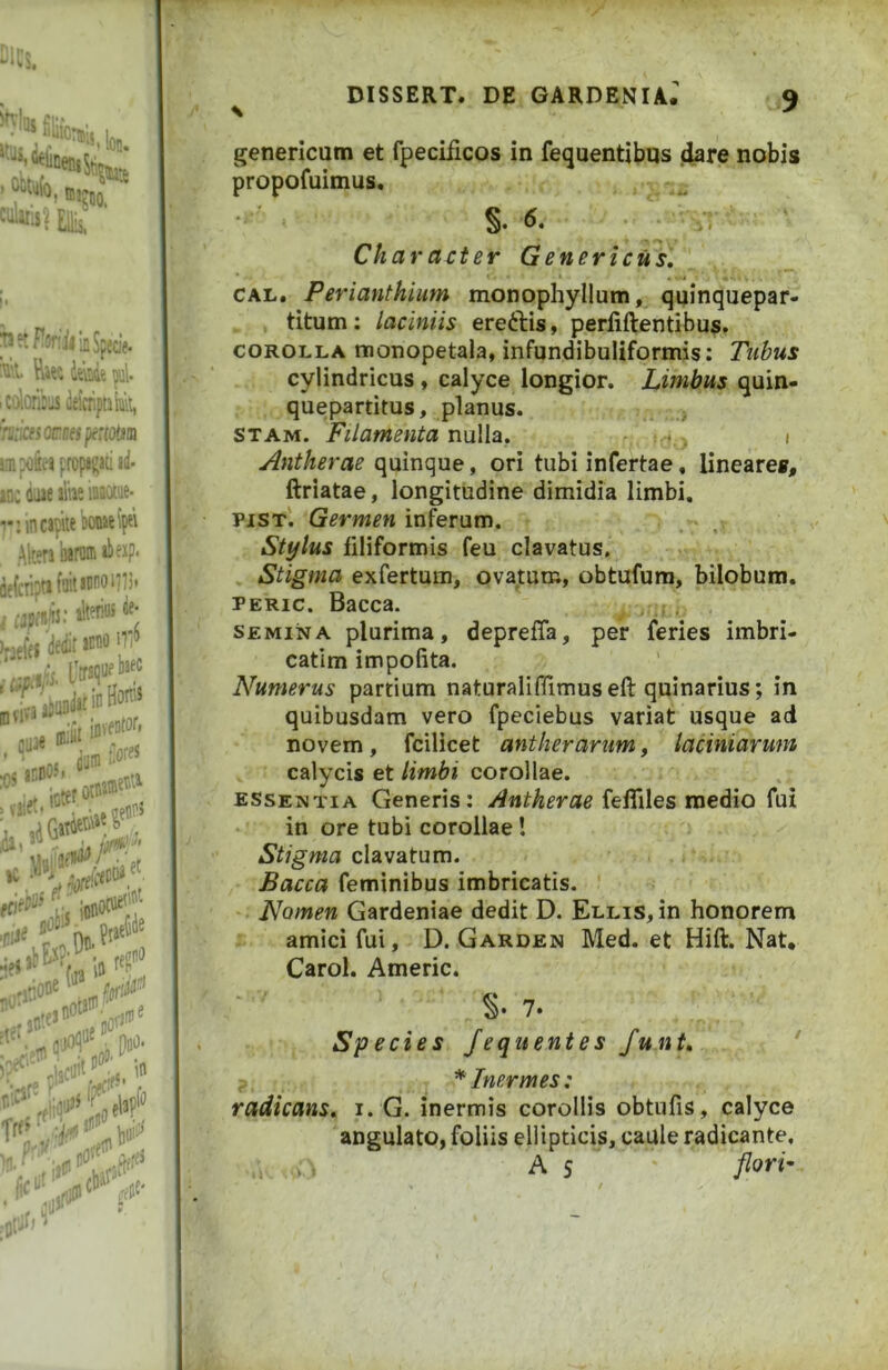 generlcum et fpecificos in fequentibus dare nobis propofuimus, . , . % 6, ■ ^ ■ Character Genericiisi CAL, Perianthium monophyllutn, quinquepar- . . titum: laciniis ereftis, perfiftentibus. COROLLA monopetala, infundibuliformis; Tubus cylindricus, calyce longior. Limbus quin- quepartitus, planus. STAM. Filamenta nulla, i Antherae quinque, ori tubi infertae, lineares, ftriatae, longitudine dimidia limbi. PiST. Germen inferum. Stylus filiformis feu clavatus. Stigma exfertum, ovatum, obtufum, bilobum. PERic. Bacca. SEMINA plurima, deprefla, per feries imbri- catim impofita. Numerus partium naturaliflimuseft quinarius; in quibusdam vero fpeciebus variat usque ad novem, fcilicet antherarum, laciniarum calycis et limbi corollae. essentia Generis: Antherae ieKiles ratAio fui in ore tubi corollae l Stigma clavatum. Bacca feminibus imbricatis. ' Nomen Gardeniae dedit D. Ellis, in honorem ^ amici fui, D. Garden Med. et Hift. Nat* Carol. Americ. S- 7. Sp e cies Jequentes funt» ' f * Inermes: radicans» i. G. inermis corollis obtufis, calyce angulato, foliis ellipticis, caule radicante, A s flori'