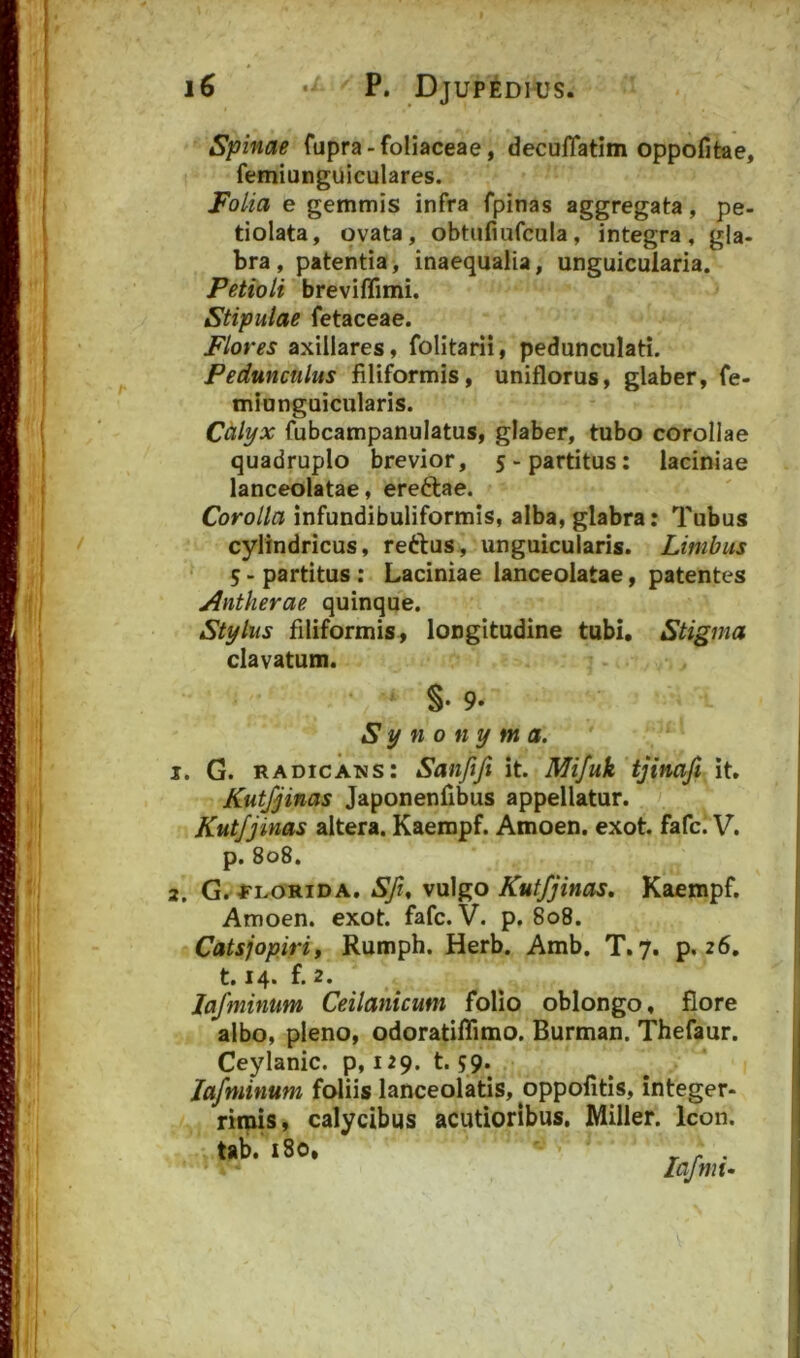 Spinae fupra-foliaceae, decuffatim oppofitae, femiunguiculares. Folia e gemmis infra fpinas aggregata, pe- tiolata, ovata, obtufiufcula, integra, gla- bra, patentia, inaequalia, unguicularia. Petioli breviflimi. Stipulae fetaceae. Flores axillares, folitarii, pedunculari. Pedunculus filiformis, unitlorus, glaber, fe- minnguicularis. Calyx fubcampanulatus, glaber, tubo corollae quadruplo brevior, 5-partitus: laciniae lanceolatae, ereftae. Corolla infundibuliformis, alba, glabra; Tubus cylindricus, reftus, unguicularis. Limbus ' 5 - partitus : Laciniae lanceolatae, patentes Antherae quinque. Stylus filiformis, longitudine tubi. Stigma clavatum. §• 9. Synonyma. I. G. RADicAMs: Sanfifi it. Mifuk tjinafi it. Kutfjinas Japonenflbus appellatur. Kutjjinas altera. Kaempf. Amoen. exot. fafc. V. p. 808. 2. G. ■TLORiDA. Sft^ vulgo Kutfjinos. Kaempf. Amoen. exot. fafc. V. p. 808. Catsjopiri, Rumph. Herb. Amb. T.7. p. 26, 1.14. f. 2. lafminum Ceilanicum folio oblongo, flore albo, pleno, odoratiflimo. Burman. Thefaur. Ceylanic. 9,129. t. 59. lafminum foliis lanceolatis, oppolitls, integer- rimis, calycibus acutioribus, Miller. Icon, tab. 180, lafmi-