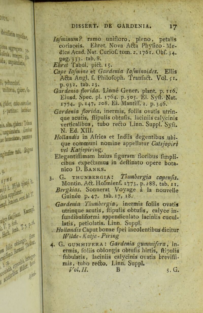 laftninum? ramo unifloro, pleno, petalis coriaceis. Ehret. Nova Afta Phyfico-Me- dica Acad. Nat. Curiof. tom. 2.1761. Obf. 34, pag. 3 33- tab. 8. Ehret Tabui, pici, r 3. Cape Icifmine et Gardenia lafminoides. Eliis . Afta Angi. f. Philofoph. Tranfacl. Vol. 51, p.932. tab. 23. Gardenia florida, Linne Gener, piant, p. ii5. Eiusd. Spec. pl. 1764* P-303- Ei. Syft. Nat. 1774. p. 147, 208. Ei. MantilT. 2. p. 346. Gardenia florida, inermis, foliis ovatis utrin- que acutis, ftipulis obtufis, laciniis calycinis verticalibus, tubo reclo Linn. Suppi. Syft. N. Ed. XIII. Hollandis in Africa et Indiis degentibus ubi- que communi nomine appellatur Catsjopiri vel Katjepiring. Elegantiffimam huius figuram’ floribus fiinpli- cibus expeftamus in deftinato opere bota- nico D. Banks. G. thunbergia: Tkuttbergia capenjis» Montin. Ati.Hofmienf. 1773. p. 288. tab. it. Bergkias, Sonnerat Voyage a la nouvelle Guinee p. 47* tab. 17, 18. Gardenia -Thunbergia, inermis foliis ovatis utrinque acutis, ftipulis obtufis, calyce in- . fundibuliformi appendiculato laciniis cucul- : latis, petiolatis. Linn. Suppi. . • Caput bonae fpei incolentibus dicitur IVilde - Katje - Piring 4. G. gummifera: Gardenia gummifera, in- ermis, foliis oblongis obtufis hirtis, ftipulis ■ Tubulatis, laciniis calycinis ovatis breviffi- mis, tubo retlo, Linn. Suppi. VoUL B 5.G. \