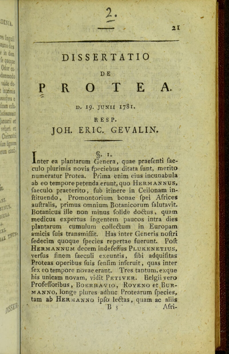 DISSERTATIO DE P R O T E A. D. 19. JUNII 1781. R E S P. JOH. ERia GEVALIN. T S- I- Inter ea plantarum Genera, quae praefenti fae- - culo plurimis novis fpeciebus ditata funt, merito numeratur Protea. Prima enim eius incunabula ab eo tempore petenda erunt, quo Hermannus, ' faeculo praeterito, fub itinere in Ceilonam in- ftituendo, Promontorium bonae fpei Africes auftralis, primus omnium Botanicorum falutavit. Botanicus ille non minus folide doftus, quam medicus expertus ingentem paucos intra dies plantarum cumulum collegium in Europam amicis fuis transmiflit. Has inter Generis noftri fedecim quoque fpecies repertae fuerunt. Poft Hehmannum decem indefeftus Plukenetius, verfus finem faeculi exeuntis, fibi adquifitas Proteas operibus fuis fenfim inferuit, quas inter fex eo tempore novae erant. Tres tantum, exque his unicam novam, vidit Petiver. Belgii vero Profeflbribus, Boerhavio, Royeno et,BuR- ■ MANNO, longe plures adhuc Protearum fpecies, tam ab Hermanno ipfo leH:as, quam ac aliis 'B 3 ■ Afri-