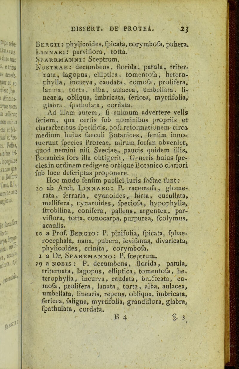 DISSERT. DE PROTEA. ^ Bergu: phylicoides,fpicata,corymbofa,puhera. Linnaei: parviflora, totta. Sparrmanni: Sceptrum. Nostrae: decumbens, florida, patula, tritef- nata, lagopus, elliptica, tomentofa, hetero- phylla, incurva, caudata, comofa, prolifera, lan ira. torta, alba, aulacea, umbellatai U-» nears, obliqua, imbricata, fericea, myrtifolia, glaora , fpatiiulata, cordata. Ad illam aurem, fi animum advertere velis feriem, qua certis fub nominibus propriis et cbarafteribus fpecificis, pofureformationem circa medium huius faeculi liotanices, fenfim inno- tuerunt Cpecies Proteae, mirum forfan obveniet, quod nemini nifi Sveciae, paucis quidem illis. Botanicis fors illa obtigerit, Gr-neris huius fpe- cies in ordinem redigere orbique Botanico clariori fub luce defcriptas proponere. Hoc modo fenfim publici iuris faftae funt: zo ab Arch. Linnaeo: P. racemofa, glome- rata, ferraria, cyanoides, hirta, cucullata, mellifera, cynaroides, fpeciofa, hypophylla,. ftrobilina, conifera, pallens, argentea, par- viflora, totta, conocarpa, purpurea, fcolyraus,. acaulis. IO a Prof. Bergio: P. pinifoKa, fpicata, fphae- rocephala, nana, pubera, levifanus, divaricata, phylicoides, crinita, corymbofa. I a Dr. Sparrmanno ; P. fceptrum. zp a nobis: P. decumbens, ,florida, patula, triternata, lagopus, elliptica, tomentofa, he- terophylla, incurva, caudata, brafceata, co- mofa , prolifera, lanata,. torta, alba, aulacea, umbellata, linearis, repens, obliqua, imbricata, fericea, faligna, myrtifolia, grandiflora, glabra, fpathulata, cordata.