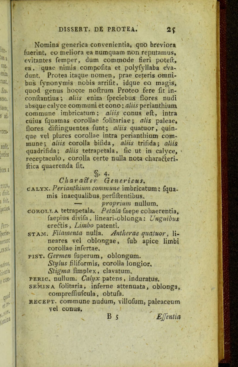 I ^ ^ ^ ^ ^ \ Nomina generica convenientia, quo breviora fuerint, eo meliora ea numquam non reputamus, evitantes femper, dum commode fieri poteft, ea, quae nimis compofita et polyfyllaba eVa- dunt. Protea itaque nomen, prae cej:eris omni- bus fynonymis nobis arrifit, idque eo magis, quod genus hoQce noftrum Proteo fere fit in- conftantius, atiis enim fpeciebus flores nudi absque calyce communi et cono: aliis perianthium commune imbricatum; aliis conus eft, intra cuius fquamas corollae folitariae; alis paleae, flores dittinguentes funt; aliis quatuor, quin- que vel plures corollae intra perianthium com- mune; aliis corolla bifida, aliis trifida; aliis quadrifida; aliis tetrapetala, fic ut in calyce, « receptaculo, corolla certe nulla nota characteri- ftica quaerenda fit. S- 4. Charadter Qenericus» CALYX. Perianthium commune imbricatum; fqua. mis inaequalibus,perfiftentibus, —- proprium nullum. COROLLA tetrapetala. Petala faepe cohaerentia, faepius divifa, lineari-oblonga; Unguibus ereftis, Limbo patenti. STAM. Filamenta nulla. Antherae quatuor, li- neares vel oblongae, fub apice limbi corollae infertae. piST. Germen fuperum, oblongum. Styhs filiformis, corolla longior. Stigma fimplex, clavatum. PERic. nullum. Calyx patens, induratus. SEMINA folitaria, inferne attenuata, oblonga, comprefliufcula, obtufa. RECEPT. commune nudum, villofum, paleaceum vel conus. i B s , EJfentia -