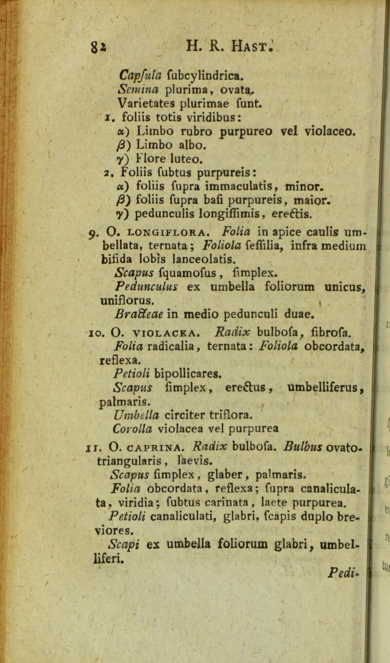 \ Capfula fubcylindrica. Semina plurima, ovata. Varietates plurimae funt. 1. foliis totis viridibus: a) Limbo rubro purpureo vel violaceo. /3) Limbo albo, y) Flore luteo, 2, Foliis fubtus purpureis: a) foliis fupra immaculatis, minor, /3) foliis fupra bafi purpureis, maior, y) pedunculis longiflimis, ereftis. p. O. LONGiFLORA. FoHa in apice caulis um- bellata, ternata; Fo/m/a feffilia, infra medium bifida lobis lanceolatis. Scapus fquamofus, limplex. Pedunculus ex umbella foliorum unicus, uniflorus. , , BraUeae in medio pedunculi duae. 10. O. VIOLACEA. Radix bulbofa, fibrofa. Folia radicalia, ternata: Foliola obcordata, reflexa. Petioli bipollicares. Scapus fimplex, ereftus , umbelliferus, palmaris. , Umbella circiter triflora. Corolla violacea vel purpurea 11. O. CAPRINA. Radix bulbofa. Bulbus ovato- triangularis, laevis. Scapus limplex, glaber, palmaris. Folia obcordata, reflexa; fupra canalicula* ta, viridia; fubtus carinata, laete purpurea. Petioli canaliculati, glabri, fcapis duplo bre- viores. Scapi ex umbella foliorum glabri, umbel- liferi. Pedi- /