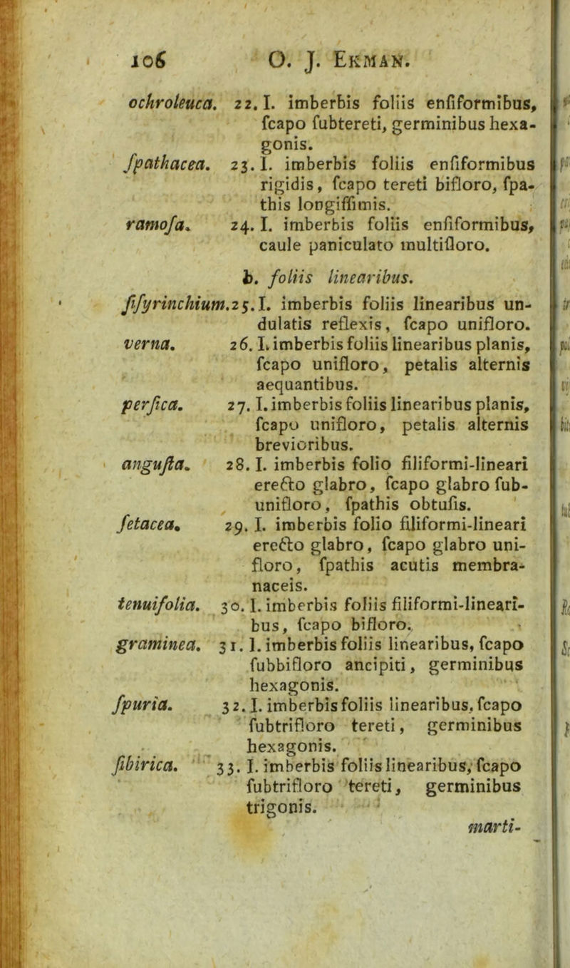 io^ O. J. EkxMan. ochroleuca. 22.1. imberbis foliis enfiformibus, fcapo fubtereti, germinibus hexa- gonis. Jpathacea. 23.1. imberbis foliis enfiformibus rigidis, fcapo tereti bifloro, fpa- this longiffimis. ramofa^ 24.1. imberbis foliis enfiformibus, caule paniculato multifloro. t. foliis linearibus. fifyrinchium.2$.\. imberbis foliis linearibus un- dulatis reflexis, fcapo unifloro. verna, 26. L imberbis foliis linearibus planis, fcapo unifloro, petalis alternis aequantibus. perfica. 27.1. imberbis foliis linearibus planis, fcapo unifloro, petalis alternis brevioribus. angufla. 28.1. imberbis folio filiformi-lineari erefto glabro, fcapo glabro fub- unifloro, fpathis obtufis. ' fetacea, 29.1. imberbis folio filiformi-lineari ercfto glabro, fcapo glabro uni- floro, fpathis acutis membra- naceis. ienuifolia. 30.1. imberbis foliis filiformi-lineari- bus, fcapo bifloro., t graminea, 31.1. imberbis foliis linearibus, fcapo fubbifloro ancipiti, germinibus hexagonis. fpuria. 32.1. imberbis foliis linearibus, fcapo fubtrifloro tereti, germinibus hexagonis. fibirica. 33. I. imberbis foliis linearibus,* fcapo fubtrifloro ^tereti, germinibus trigonis. marti’