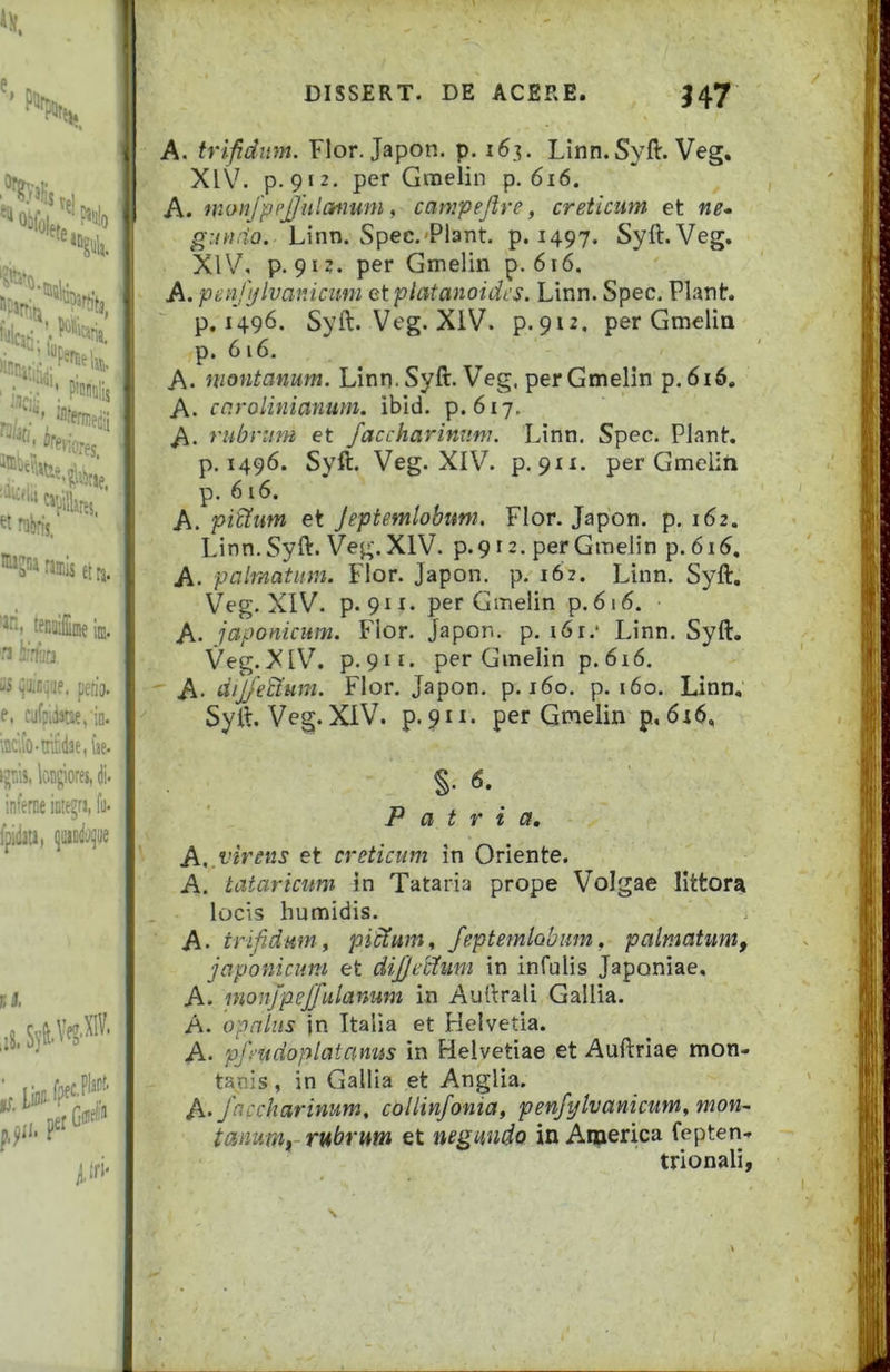 P^ro tel I ' P!5lis reiiores ^‘■■''•1 CViill tt etn. •: '*s, teBalnie iffi. aS ijingijf, perii), e. wfD,dJRe,'iD. kKo-mfiae, (le. i^r.l5. longiores, ^i. incerne ictegn, fii. fpidati, ^land^w DISSERT. DE ACERE. H7 A. trifidum. Flor, Japon, p. 163, Linn.Syft. Veg, Xl\^ p-9«2< per Graelin p, 6i6. A. tnori/ppj/hlanum, canipejire, creticum et ^•.7W,7^0. Linn. Spec,'Piant, p. 1497. Syft.Veg. XIV. P*9‘?* per Gmelin p, 616. A. fenjijlvanicum etplatanoidcs. Linn. Spec. Piant, p. 1496. Syft. Veg.XlV. p.912, per Gmelin ,p. 6i6. A. montanum. Linn.Syft, Veg. per Gmelin p.6i6. A. caroiinianurn. ibid. p. 617, A- rubrum et faccharinnni. Linn, Spec, Piant, p, 1496. Syft. Veg.XlV. p.9xi. per Gmelin p. 616. A. pi^um et Jeptemlohum. Flor. Japon. p. 162. Linn.Syft. Veg.XlV. p.912. per Gmelin p. 6i6. A. palmatum. Hor. Japon. p, 162. Linn. Syft. Veg.XlV. p. 9H. per Gmelin p. 616. A. japonicum. Flor. Japon. p. i6r.* Linn. Syft. Veg.XlV. p.911. per Gmelin p.6i6. A- dij/e&um. Flor. Japon, p. 160. p. 160. Linn, Syft. Veg.XlV. p.911. per Gmelin p.6x6, S- <5. Patria. A.Mnens et creticum in Oriente. A. tataricum in Tataria prope Volgae littora locis humidis. A- trifidum, pictum, /eptemlobum, palmatum, japonicum et dijjeiduni in infulis Japoniae. A. inonfpejfulanum in Auftrali Gallia. A. opalus in Italia et Helvetia. A. pfmdoplatamis in Helvetiae et Auftriae mon- tanis , in Gallia et Anglia. A-Jaccharinum, collinfonia, penf^lvanicum, mon- tmum, rubrum et neguudo in America fepten- trionali, S