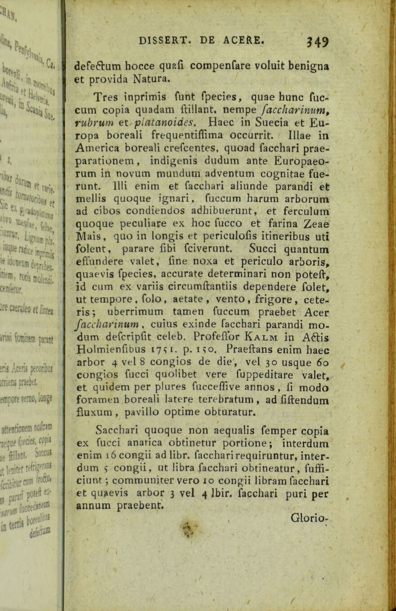 r» ' ' Sii 1 “S DISSERT. DE ACERE. J49 defeftum hocce quafi compenfare voluit benigna et provida Natura. Tres inprimis funt fpecies, quae hunc fiic- cum copia quadam ftiilant, nempe faccharimm, rubrum et^piatanoides. Haec in Suecia et Eu- ropa boreali frequentilTima occurrit. Illae in America boreali crefcentes, quoad facchari prae- I. parationem, indigenis dudum ante Europaeo- , „ 'O 1 felht fotisEdenoi. ctnferiir. rum in novum mundum adventum cognitae fue- runt. Illi enim et facchari aliunde parandi et mellis quoque ignari, fuccum harum arborum ad cibos condiendos adhibuerunt, et ferculum quoque peculiare ex hoc fucco et farina Zeae Mais, quo in longis et periculofis itineribus uti folent, parare fibi fciverunt. Succi quantum effundere valet, fine noxa et periculo arboris, quaevis fpecies, accurate determinari non poteft, id cum ex variis circumflandis dependere folet, ut tempore, folo, aetate , vento, frigore , cete- <‘C Uciwco ft liiitpj ris; uberrimum tamen fuccum praebet Acer !n»i fcttkra parant faccharinum, cuius exinde facchari parandi mo- dum defcripfit celeb. Profeffor Kalm in A6lis Holmienfibus 17; i. p. uo. Praeftans enim haec :ns Aceris prilwj ;:rieK crseitL fdirorerfrrOilooje arbor 4 vel 8 congios de die', vel 30 usque 60 congios fucci quolibet vere fuppeditare valet, et quidem per plures fucceffive annos, fi modo foramen boreali latere terebratum, ad fiflendum fluxum, pavillo optime obturatur. jttpnrioBfni ncliTJni j^iuefiieMcm setrilant- Saccus ‘ Ifsitet refri?'’^^'’* ,^;jjfQraJiJi , 'fai P**''' in tetlii lif: ® “ ilefca» Sacchari quoque non aequalis femper copia ex fucci anatica obtinetur portione; interdum enim 16 congii ad libr. facchari requiruntur, inter- dum <; congii, ut libra facchari obtineatur, fuffi- ciunt; communiter vero lo congii libram facchari et quaevis arbor 3 vel 4 Ibir. facchari puri per annum praebent. , GloriO' .• ’ ' 1 \ * /