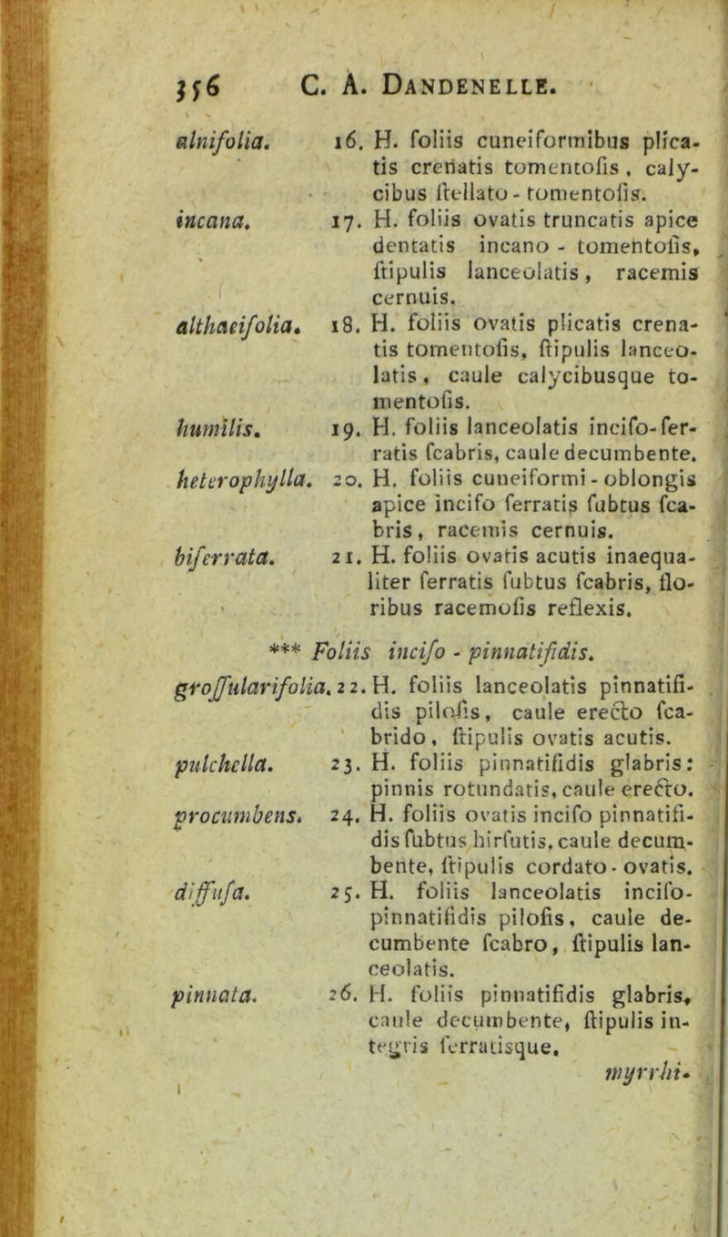 »' alnifolia. 16. H. foliis cuneiformibus plica- tis credatis tomentofis , caly- cibus llellato-fomentolis. incana, % 17. H. foliis ovatis truncatis apice dentatis incano - tomentofis, ftipulis lanceolatis, racemis cernuis. althaeifolia* 18. H. foliis ovatis plicatis crena- tis tomentofis, ffipulis lanceo- latis , caule calycibusque to- mentofis. humilis. 19. H. foliis lanceolatis incifo-fer- ratis fcabris, caule decumbente. hetcrophylla, 20. H. foliis cuneiformi - oblongis apice Incifo ferratis fubtus fca- bifer rata. bris, racetnis cernuis. 21. H. foliis ovatis acutis inaequa- liter ferratis fubtus fcabris, flo- ribus racemofis reflexis. *** Foliis incifo - pinnatifidis, groJfularifolia,22.W. foliis lanceolatis pinnatifi- dis piloTis, caule ereclo fca- pulchella. ' brido , ftipulis ovatis acutis. 23. H. foliis pinnatifidis glabrisr pinnis rotundatis, caule erefto. procumbens. 24. H. foliis ovatis incifo pinnatifi- dis fubtus hirfutis. caule decum- diffufa. bente, ftipulis cordato - ovatis. 25. H. foliis lanceolatis incifo- pinnatifidis pilofis, caule de- cumbente fcabro, ftipulis lan- ceolatis. pinnata. 26. H, foliis pinnatifidis glabris, caule decumbente, ftipulis in- tei^ris ferratisque, myrrhi» N