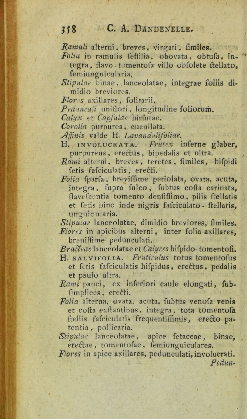 Ramuli alterni. breves, virgati, fimiles. Folia in ramulis feflilia, obovata, obtufa, in- tegra, flavo-tiimentofa villo obfolete ftellato, femiunguicularia. Stipulae binae, lanceolatae, integrae foliis di- midio breviores. Flores axillares, folifarii. Pedunculi uniflori, longitudine folioruth. Calyx et Capjulae hirfiitae. Corolla purpurea, cucullata. Ajjhiis valde H. Lavandidifoliae. H. iNvoLUCRATA. Frutpx inferne glaber, purpureus, erectus, bipedalis et ultra. Rami alterni, breves, teretes, fimiles, hifpidi fetis fafciculatis, erefti. Folia fparfa. breyiffime petiolata, ovata, acuta, integra, fupra fulco, fubtus cofta carinata, flavefcentia tomento denliflimo, pilis ftellatis et fetis hinc inde nigris fafciculato- ftellatis, ungiiic ularia. Stipulae lanceolatae, dimidio breviores, limiles. Flores in apicibus alterni, inter folia axillares, breuiffime pedunculati. Bra&eae lanceolatae et Calyces hifpido- tomentofi. H. SALViFOLiA. Fruticatus totus tomentofus et fetis fafciculatis hifpidus, eredfus, pedalis et paulo ultra. Rami pauci, ex inferiori caule elongati, fub- fimplices, erefli. Folia alterna, ovata, acuta, fubtus venofa venis et cofta exftantibus, integra, tota tomentofa ftellis fafciculatis frequentiftlmis, eredto pa- tentia , pollicaria. Stipulae lanceolatae, apice fetaceae, binae, ereftae, tomentofae, femiunguiculares. Flores in apice axillares, pedunculati, involucrati. Fedim- 1