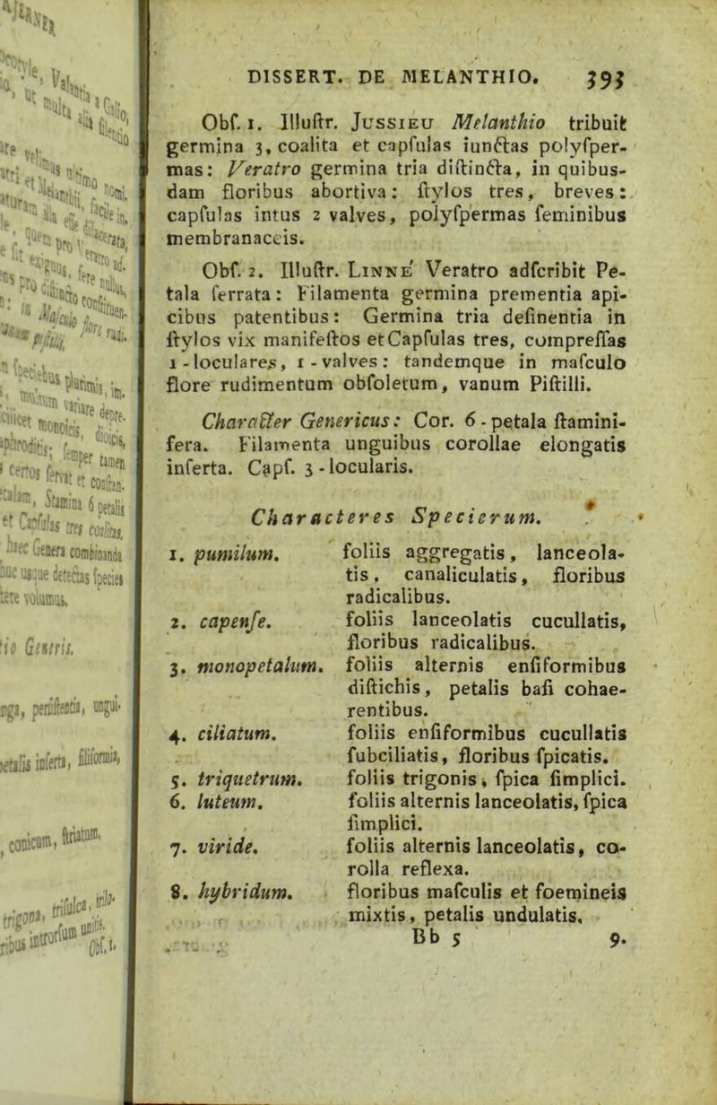 DISSERT. DE MELANTHIO, J9J Obf. I. llluftr. JussiEU Melanthio tribuit germina 3, coalita et capfulas iunftas polyfper- tnas: Veratro germina tria diftinfta, in quibus- dam floribus abortiva: ftylos tres, breves: capfulas intus 2 valves, poiyfpermas feminibus membranaceis. Obf. 2. Illuftr. Linne Veratro adfcribit Pe- tala ferrata: Filamenta germina prementia api- cibus patentibus: Germina tria delinentia in ftylos vix manifeftos et Capfulas tres, compreflas i-loculares, i-valves: tandemque in mafculo flore rudimentum obfoletum, vanum Piftilli. Character Genericus: Cor. 6 - petala ftamini- fera. Filamenta unguibus corollae elongatis inferta. C^pf. 3-locularis. Characteres Specterum. 1. pumilum. foliis aggregatis, lanceola- tis, canaliculatis, floribus radicalibus. 2. capenfe. foliis lanceolatis cucullatis, floribus radicalibus. 3. monopetahm, foliis alternis enfiformibus diftichis, petalis bali cohae- rentibus. foliis enfiformibus cucullatis fubciliatis, floribus fpicatis. foliis trigonis* fpica fimplici. foliis alternis lanceolatis, fpica fimplici. foliis alternis lanceolatis, co- rolla reflexa. floribus mafculis et foemineis mixtis, petalis undulatis. Bb 5 4. ciliatum. 5. triquetrum. 6. luteum. e 7. viride. 8. h^bridum. 9-