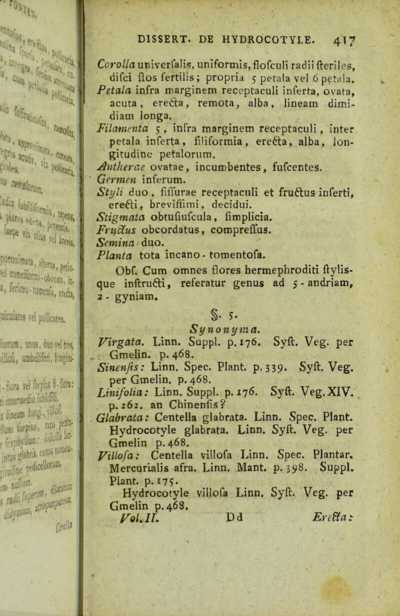 ;1‘-, '■‘^ fr> ■ *«», i.,. ' '‘«Oflli, C >k ’ poHiciri^ ■ ^^ori m. ‘ H-rr. J («'ue f' '“■•'Jbi, ''™'«ra:.oi«,TO,i,, *' •'^^‘(^fa-tonieiifj, ertnj, iiC3iires vcl pollicares. 'crain, mus, iaoH tres, lilloE, umbcliiferi, loDgini- '•r.ora rei fjfpiiJS 5-sora: [i iDteniifiiio futeliiti- X iiDfiin lorj. ..JB 5;^ (II oul‘J>^' DISSERT. DE HYDROCOTYLE. 417 Corolla uriverfalis, uniformis,flofculi radii fterilfs, difci flos fertilis; propria 5 petala vel 6 petala. Petala infra marginem receptaculi inferta, ovata, acuta, ereda, remota, alba, lineam dimi- diam longa. Filamenta 5, infra marginem receptaculi, inter petala inferta, filiformia, erefta, alba, lon- gitudine petalorum. Antherae ovatae, incumbentes, fiifcentes. ’ Germen inferum. Styli duo, filTurae receptaculi et fructus inferti, erefti, breviflimi, decidui. Stigmata obtufiufcula, fimplicia. Fri0us obcordatus, comprelfus. Semina duo. Planta tota incano-tomentofa. Obf. Cum omnes flores hermephroditi ftylis- que inftrufti, referatur genus ad 5 - andriam, 2 - gyniam, §• S- Synonyma. Virgata. Linn. Suppi, p. 176. Syft. Veg. per ... Gmelin. p. 468. Sinenjis: Linn. Spec. Piant, p, 3 39. Syft. Veg. per Gmelin. p. 468. Linifolia: Linn. Suppi, p. 176. Syft. Veg. XIV., p. 262. an Chinenfis? Glabrata: Centella glabrata. Linn. Spec. Piant. Hydrocotyle glabrata. Linn. Syft. Veg. per Gmelin p.468. Villofa: Centella villofa Linn. Spec. Plantar, Mercurialis afra. Linn. Mant. p. 398. Suppi. Piant, p. 175. Hydrocotyle villofa Linn. Syft. Veg. per Gmelin p.468. VoUL Dd Ereiia:
