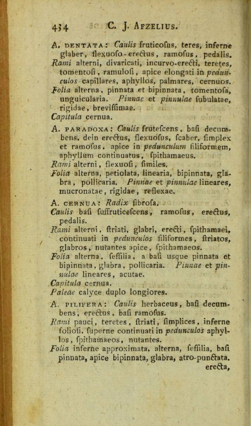 4^4 J- Afzelius. A, dentata: fruticofas, teres, inferne glaber , flexuofo-ere(!:l;us , ramofus , pedalis. Rami alterni, divaricati, incurvo-erefti, teretes, tomentofi , ramulofi, apice elongati in pedun- culos capillares, aphyllos, palmares, cernuos. Rolia alterna, pinnata et bipinnata, tomentofa, ungaicularia. Pinnae et pinnulae fubulatae, rigidae, breviffimae. Capitula cernua. A. paradoxa: frutefcens, bafi decnt»- bens, detn ereftus, flexubfus, fcaber, fimplex et ramofus, apice in pedunculum filiformem, aphyllum continuatus, fpithamaeus. alterni, flexuofi, firailes. Folia alterna, petiolata, linearia, bipinnata, gla- bra , pollicaria. Pinnae et pinnulae lineares, mucronatae, rigidae, reflexae. A. cernua: Radix fibrofa. Caulis bafi fuifruticefcens, ramofus, ere6t«s, pedalis. Rami alterni, ftriati, glabri, erecti, fpithamaei, ■ continuati in pedunculos filiformes, ftriatos, glabros, nutantes apice, fpithamaeos. Folia alterna. feffilia, a bafi usque pinnata et bipinnata, glabra, pollicaria. Pinnae et pin- nulae lineares, acutae. Capitula cernua. Paleae calyce duplo longiores. A. pilifera: Caulis herbaceus, bafi decum- bens , ereftus , bafi ramofus. Rami pauci, teretes, ftriati, fimplices, inferne folioli. fUperne continuati in pedunculos aphyl- los, fpithamaeos, nutantes. Folia inferne approximata, alterna, feflilia, bafi pinnata, apice bipinnata, glabra, atro-punftata. ereda.