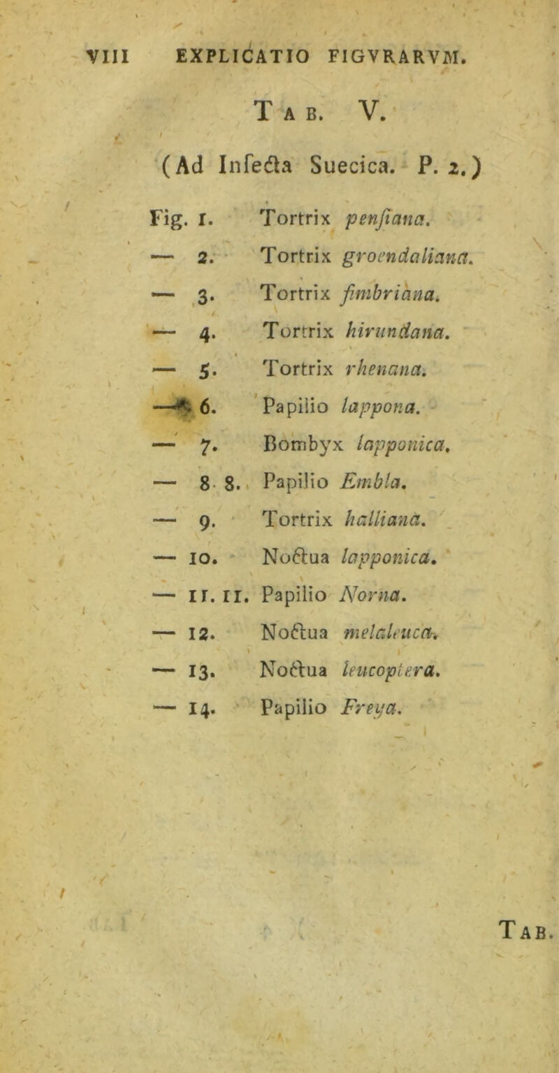 Tab. V.* t (Ad Infedla Suecica. P. 2.) Fig. I. Tortrix penjiana. — 2. • Tortrix grocndalicina. — _3. Tortrix fimbrihna. i. — 4. Tortrix hiriindana. ‘ — 5. Tortrix rhenana. -—^6. 'Papiiio lappona. —7. Botnbyx lapponica. — 8-8.. Papilio Embla. — 9. ■ Tortrix halliana. — IO. * Noftua lapponica, «. N — ir. II. Papilio Noma. — 12. Noftua mdaleucOr. — 13. No^lua leucopiera. — 14. ' Papilio Freija.