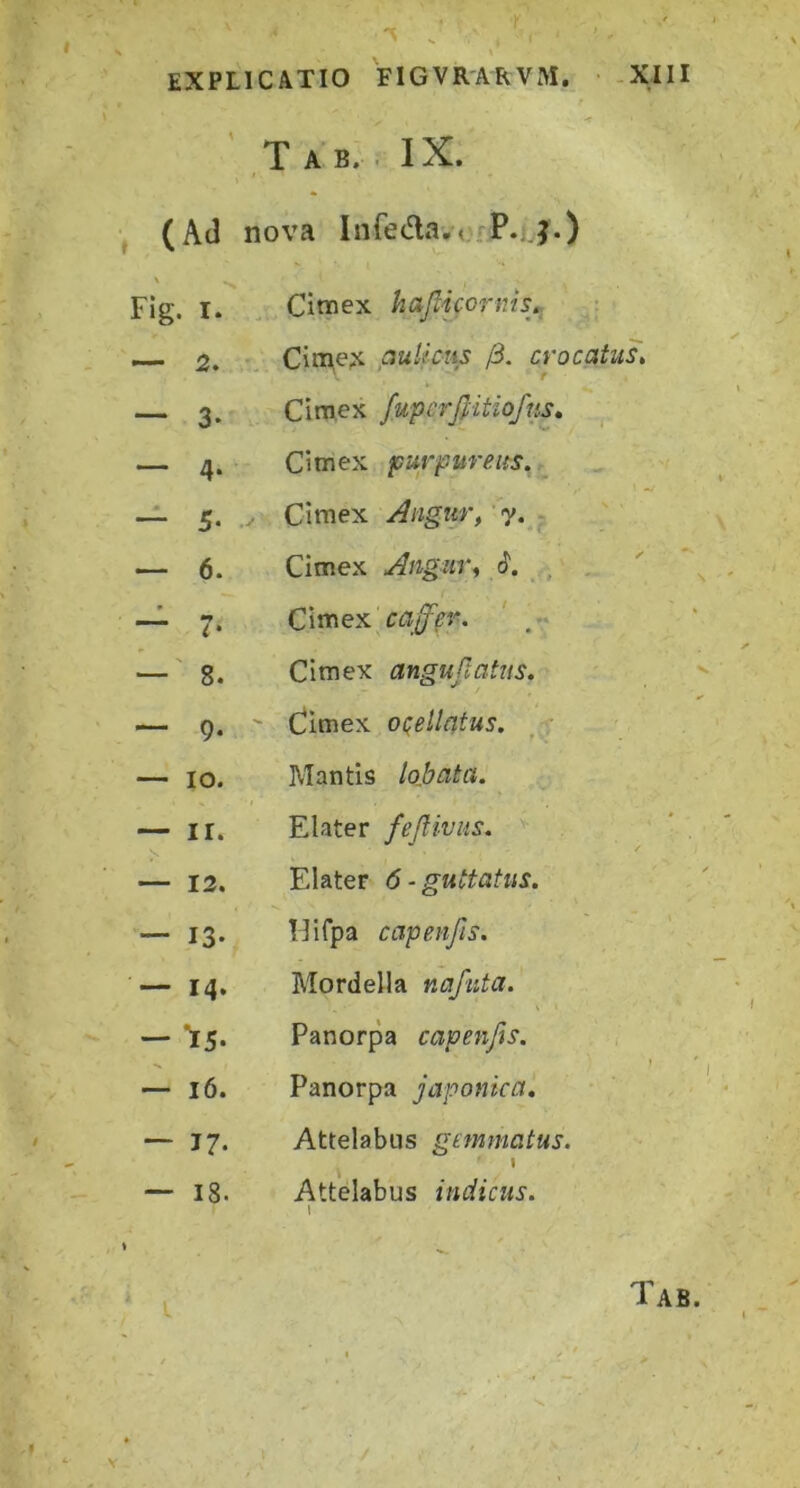 s EXPLICATIO FIGVR-ARVM. • -XIII •r T AB. r IX. , (Ad nova Infedla^a,'rP.,,j.) Fig. I. Citnex hajlicornis^^ •— 2. CitTiejc pulictis /3. crocatus» — 3. Cimex /upcrfiitio/ns» — 4. Cimex purpureus»^ — 5. .y Cimex ^ngur, y. — 6. Cimex Angiiti $. ~ 7. Cimex ' .>* —' 8. Cimex anguftatus» — 9* ' dimex oi^ellatus. — IO. Mantis lojbata. — II. Elater feJHvits. ‘ . — 12. Elater 6 • guttatus. — 13. llifpa capenfis. — 14, Mordella nafnta. — 15. Panorpa capenfis. ^ I ^ — 16. Panorpa japonka, . - — 17. Attelabns gemmatus. — 18. Attelabus indiciis. \ y • , Tab. V