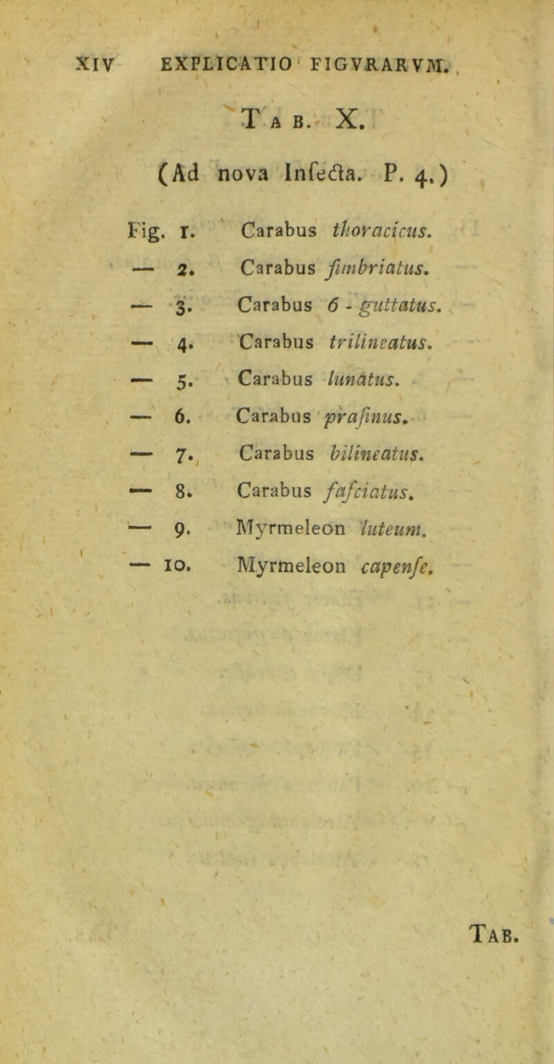 \ , Tab.^X. (Ad nova Infeda. P. 4,) Fig. r. Carabus' thoracicus. ' — 2. Carabus fimbriatus. — '3. Carabus 6 - guttatus. — '4. •Carabus trilineatus. — 5. Carabus lunatus. . — 6. 'Carabus ‘ prafinus»’- — 7., Carabus bilineatus. — 8. Carabus fafciatus. — 9. Myrmeleon 'luteum. I