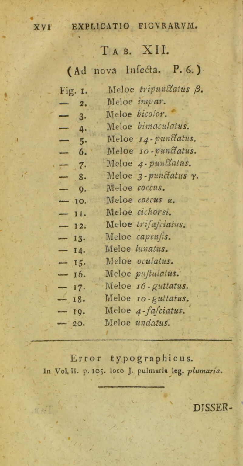 . T A B. XII. (Ad nova Infeda. P. ) Fig. I. Meloe tripunoiatus (3, — 2. Rleloe impar. — 3. Meloe bicolor. — 4. Meloe bimaculatus. — 5- Meloe j4-pun&atus. — 6. Meloe jo-punffatus. - .7. Meloe 4- punS^atus. — 8. Meloe s - punctatus y. — 9* Meloe corcits. — IO. Meloe coecus a. — 11. Meloe cichorei. — 12. Meloe trifajciatus. — 13- Meloe capcnjis. — 14. Meloe lunatus. — 15* Meloe oculatus. — 16. Meloe pnjlulalus. — 17. Meloe 16 ~ guttatus. 18. Meloe 10 - guttatus. — 19. Meloe 4-fafciatus. — 20. Meloe undatus. Error typographicus. In yd. II. p. lOj. loco J. pulmaria Icg. -plumaria» ( \ ' DISSER-