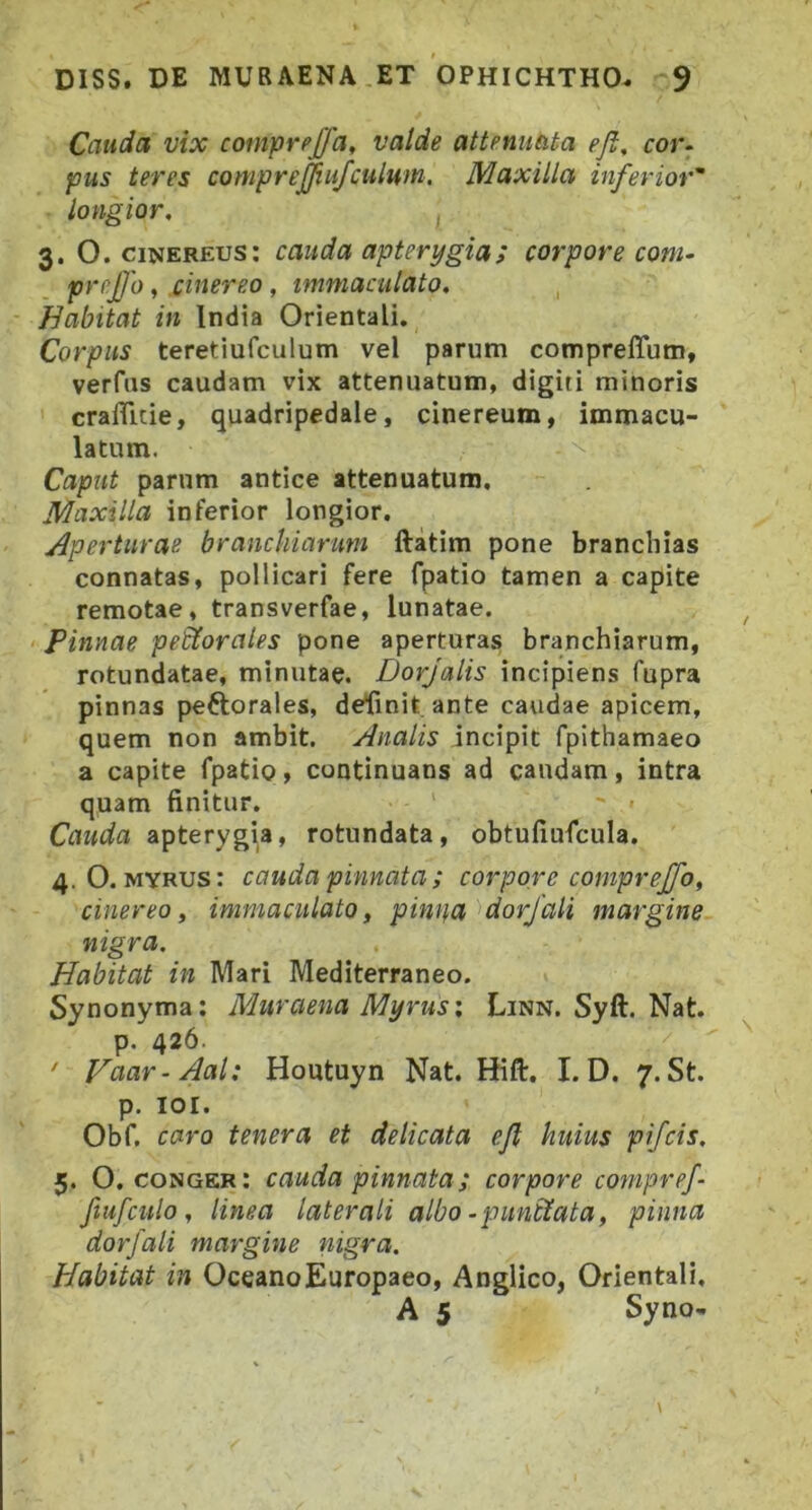 Cauda vix comprpjfa, valde attenuata eji, cor- pus teres compre^ufculwn. Maxilla inferior'’ longior, 3. O. cinereus: cauda apterygia; corpore coni- prnjjo, cinereo , immaculato, , Habitat in India Orientali. Corpus teretiufculum vel parum compreffum, verfus caudam vix attenuatum, digiti minoris craflltie, quadripedale, cinereum, immacu- latum. Caput parum antice attenuatum. Maxilla inferior longior. Aperturae branchiarum ftatim pone branchias connatas, pollicari fere fpatio tamen a capite remotae, transverfae, lunatae. ' Pinnae perorales pone aperturas branchiarum, rotundatae, minutae. Dorjalis incipiens fupra pinnas peftorales, delinit ante caudae apicem, quem non ambit. Analis incipit fpithamaeo a capite fpatio, continuans ad caudam, intra quam finitur. ' Cauda apteryg^a, rotundata, obtufiufcula. 4.0. myrus: cauda pinnata; corpore coniprejfo, cinereoy immaculato, pinua dor/ali margine nigra. Habitat in Mari Mediterraneo. Synonyma: Muraena Myrus: Linn. Syft. Nat. p. 426. ' Haar-Aal: Houtuyn Nat. Hift. I. D. 7. St. p. loi. Obf. caro tenera et delicata eft huius pifcis, 5. O. conger: cauda pinnata; corpore compref Jiufculo, linea laterali albo -puntiata, pinna dorfali margine nigra. Habitat in Oceano Europaeo, Anglico, Orientali. A 5 Syno-