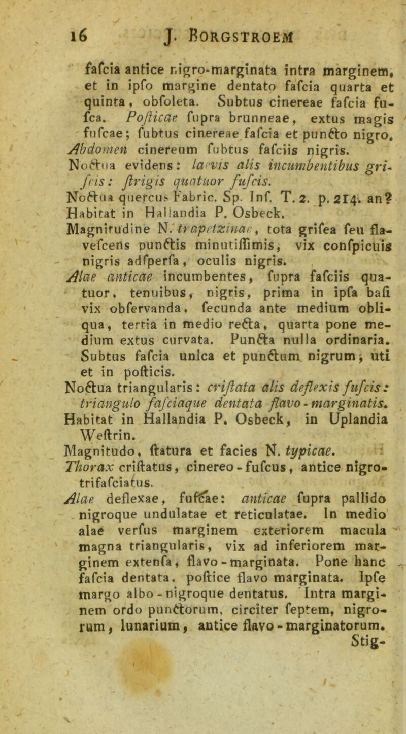 fafcia antice r.igro-marginata intra marginem, et in ipfo margine dentato fafcia quarta et quinta, obfoleta. Subtus cinereae fafcia fu- fca. Pojlicae fiipra brunneae, extus magis fnfcae; fubtus cinereae fafcia et puntto nigro. Abdomen cinereum fubtus fafciis nigris. Noi^fna evidens; la>'Vis alis incumbentibus gri^ fris: Jirigis quatiior fufcis. No^>ua quercus Fabric. Sp. Inf. T. 2. p. 2I4. an? Habitat in Hallandia P. Osbeck. Magnitudine N. trapetzniac, tota grifea feii fla- vefcens punftis minutiflimis, vix confpicuis nigris adfperfa, oculis nigris. Alae anticae incumbentes, fupra fafciis qua- tuor, tenuibus, nigris, prima in ipfa baii vix obfervanda, fecunda ante medium obli- qua, tertia in medio refta, quarta pone me- dium extus curvata. Punfta nulla ordinaria. Subtus fafcia unica et punftum nigrum j uti et in pofticis. No6tua triangularis: crijlata alis deflexis fufcis: triangulo fafciaque dentata flavo - marginatis» Habitat in Hallandia P. Osbeck, in Uplandia Weftrin. Magnitudo, ftatura et facies N. typicae. TViorax criftatus, cinereo - fufcus, antice nigro- trifafciatus. Alae, deflexae, fuf^ae; anticae fupra pallido nigroque undulatae et reticulatae. In medio alae verfus marginem exteriorem macula '* magna triangularis, vix ad inferiorem mar- ginem extenfa, flavo - marginata. Pone hanc . fafcia dentata, poftice flavo marginata. Ipfe margo albo - nigroque dentatus. 'Intra margi- nem ordo punrtorum, circiter feptem, nigro- rum, lunarium, antice flavo-marginatorum. Stig- I