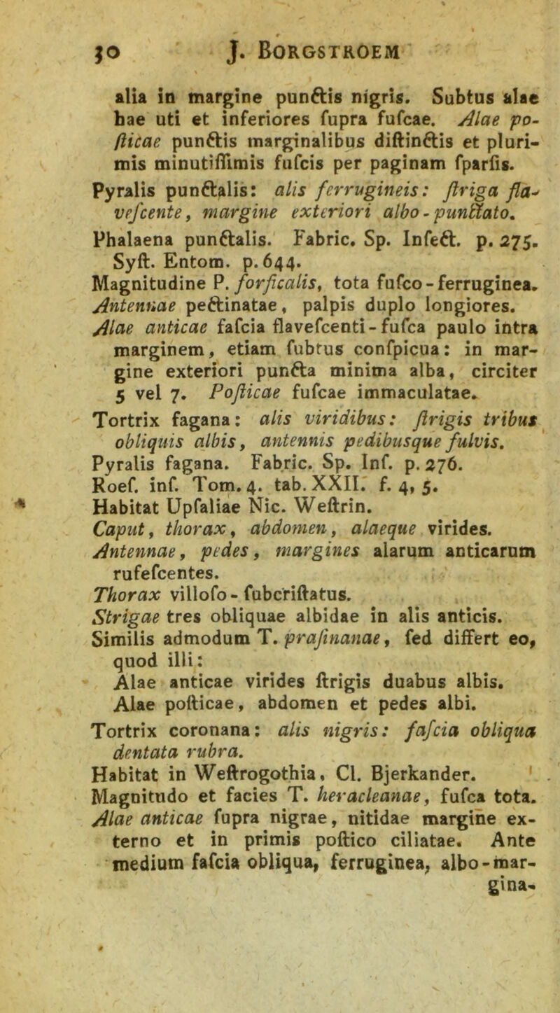 alia in margine pun61;i8 nigris. Subtus alae hae uti et inferiores fupra fufcae. j^lae po- fticae punftis marginalibus diftinftis et pluri- mis minutifllmis fufcis per paginam fparfis. Pyralis punftalis: alis ferrugineis: Jlriga fla-> vpfcente, margine exteriori albo ~ puntYato. Phalaena punftalis. Fabric. Sp. Infeft. p. 275. Syft. Entom. p. 644. Magnitudine P. forficalis, tota fufco-ferruginea» Antennae peftinatae, palpis duplo longiores. Aiae anticae fafcia flavefcenti-fufca paulo intra marginem, etiam fubtus confpicua: in mar- gine exteriori punfta minima alba, circiter 5 vel 7. Pojiicae fufcae immaculatae» Tortrix fagana: alis viridibus: flrigis tribus obliquis albis, antennis pedibusque fulvis. Pyralis fagana. Fabric. Sp, Inf. p. 276. Roef. inf. Tom. 4. tab. XXII.' f. 4, 5. Habitat Upfaliae Nic. Weftrin. Caput, thorax, abdomen, alaeque virides. Antennae, pedes, margines alarum anticarum rufefcentes. Thorax villofo - fubcriftatus. Strigae tres obliquae albidae in alis anticis. Similis admodum T. pra/manaf, fed differt eo, quod illi: Alae anticae virides ftrigis duabus albis. Alae pofticae, abdomen et pedes albi. Tortrix coronana: alis nigris: fafcia obliqua dentata rubra. Habitat in Weftrogothia, Cl. Bjerkander. ' Magnitudo et facies T. heracleanae, fufca tota. Alae anticae fupra nigrae, nitidae margine ex- terno et in primis poftico ciliatae. Ante medium fafcia obliqua, ferruginea, aibo-mar- gvna-