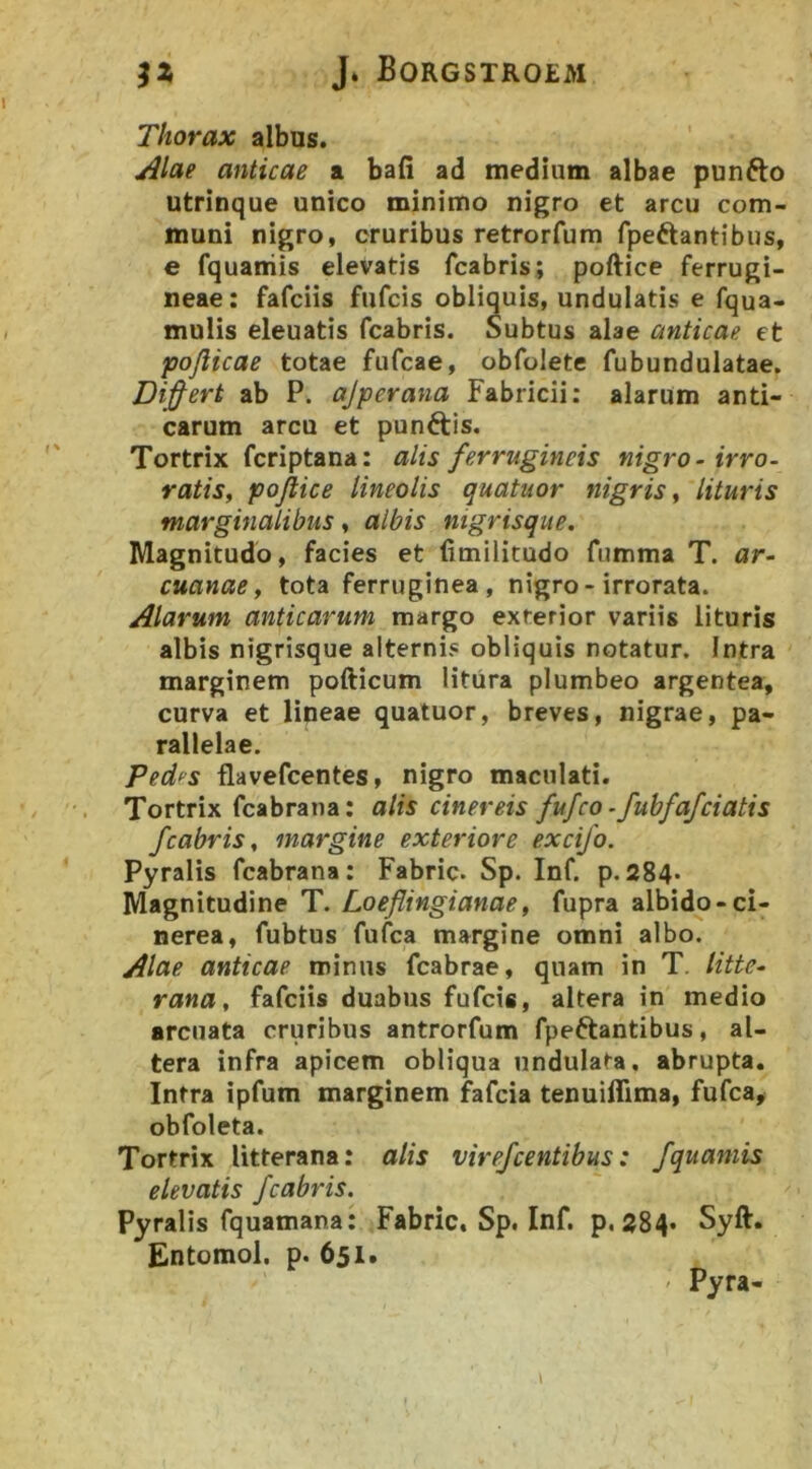 Thorax albus. Alae anticae a bafi ad medium albae punfto utrinque unico minimo nigro et arcu com- muni nigro, cruribus retrorfum fpeftantibus, e fquaniis elevatis fcabris; poftice ferrugi- neae: fafciis fufcis obliquis, undulatis e fqua- mulis eleuatis fcabris. Subtus alae anticae et pojlicae totae fufcae, obfolete fubundulatae. Dij^ert ab P. ajperana Fabricii; alarum anti- carum arcu et punftis. Tortrix fcriptana: alis ferrugineis nigro - irro- ratiSf pojiice lineolis quatuor nigris ^ lituris marginalibus y albis nigrisque. Magnitudo, facies et fimilitudo fumma T. ar- cuanae, tota ferruginea, nigro-irrorata. Alarum anticarum margo exferior variis lituris albis nigrisque alternis obliquis notatur. Intra marginem pofticum litura plumbeo argentea, curva et lineae quatuor, breves, nigrae, pa- rallelae. Ped^s flavefcentes, nigro maculati. Tortrix fcabrana: alis cinereis fufco -fuhfafdatis fcabris. margine exteriore excifo. Pyralis fcabrana: Fabric. Sp. Inf. p.284. Magnitudine T. Loeflingianae, fupra albido-ci- nerea, fubtus fufca margine omni albo. Alae anticae minus fcabrae, quam in T. litte- rana, fafciis duabus fufcis, altera in medio arcuata cruribus antrorfum fpeftantibus, al- tera infra apicem obliqua undulata, abrupta. Intra ipfum marginem fafcia tenuiffima, fufca^ obfoleta. Tortrix litterana: alis virefcentibus: fquaniis elevatis fcabris. Pyralis fquamana: Fabric. Sp. Inf. p, 284« Syft. Entomol. p. 651. ' Pyra-