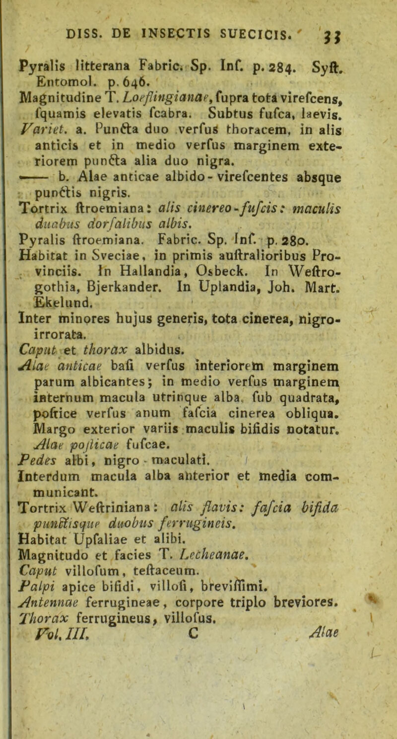 Pyralis Htterana Fabric* Sp. Inf. p. 284. Syft. Entomol. p. 646. Magnitudine T. Loeflingianae^ fupra tota virefcens, Tquamis elevatis fcabra. Subtus fufca, laevis. Variet, a. Punfta duo verfus thoracem, in alis anticis et in medio verfus marginem exte- riorem piinfta alia duo nigra. — ■ b. Alae anticae albido-virefcentes absque punttis nigris. Tortrix ftroemiana: alis cinereo-^fufcis: maculis duabus dorfalibiis albis. Pyralis ftroemiana. Fabric. Sp. Inf. p. a8p. Habitat in Sveciae, in primis auftralioribus Pro- vinciis. In Hallandia, Osbeck. In Weftro- gothia, Bjerkander. In Uplandia, Joh. Mart. Ekelund. Inter minores hujus generis, tota cinerea, nigro- irrorata. Caput et thorax albidus. Aiae anticae bafi verfus interiorem marginem parum albicantes; in medio verfus marginem internum macula utrinque alba, fub quadrata, poftice verfus anum fafcia cinerea obliqua. Margo exterior variis maculis bifidis notatur. Alae pofUcae fufcae. Pedes albi, nigro - maculati. / Interdum macula alba anterior et media com- municant. Tortrix Weftriniana: alis flavis: fafcia bifida punSltscfue duobus ferrugineis. Habitat Upfaliae et alibi. Magnitudo et facies T. Lecheanae. Caput villofum, teftaceum. Palpi apice bifidi, villofi, brevlfiimi. Antennae ferrugineae, corpore triplo breviores. Thorax ferrugineus, villofus. VoL IU, C Alae