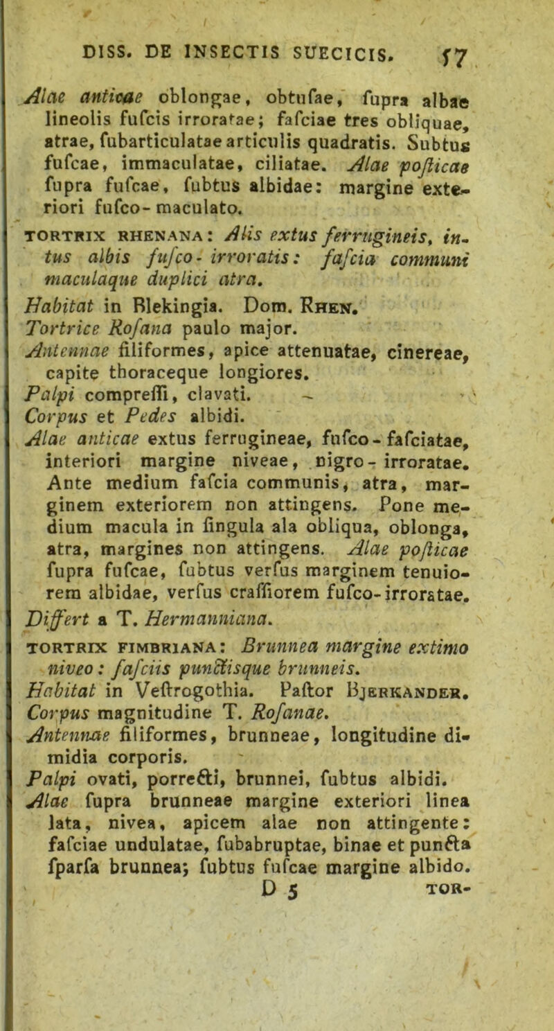 Alae anticae oblongae, obtufae, fupra albae lineolis fufcis irroratae; fafciae tres obliquae, atrae, fubarticulatae articulis quadratis. Subtus fufcae, immaculatae, ciliatae. Alae foflicae fupra fufcae, fubtus albidae: margine exte- riori fufco- maculato. TORTRix RHENANA: AUs extus ferrugineis, «k, tus albis fufco- irroratis: fafcia communi maculaque duplici atra. Habitat in Rlekingia. Dom. Rhkn. Tortrice Rofana paulo major. Antennae filiformes, apice attenuatae, cinereae, capite thoraceque longiores. Palpi comprefil, clavati. - Corpus et Pedes albidi. Alae anticae extus ferrugineae, fufco-fafciatae, interiori margine niveae, nigro - irroratae. Ante medium fafcia communis, atra, mar- ginem exteriorem non attingens. Pone me- dium macula in fingula ala obliqua, oblonga, atra, margines non attingens. Alae poflicae fupra fufcae, fubtus verfus marginem tenuio- rem albidae, verfus craffiorem fufco-irroratae. Differt a T. Hermanniana. TORTRix fimbriana: Brunnea margine extimo niveo: fa/ciis pundlisque brunneis. Habitat in Veflrrogothia. Paftor Bjerkander. Corpus magnitudine T. Rofanae. Antennae filiformes, brunneae, longitudine di- midia corporis. Palpi ovati, porrefti, brunnei, fubtus albidi. Alae fupra brunneae margine exteriori linea lata, nivea, apicem alae non attingente; fafciae undulatae, fubabruptae, binae et punfta fparfa brunnea; fubtus fufcae margine albido. D 5 TOR-